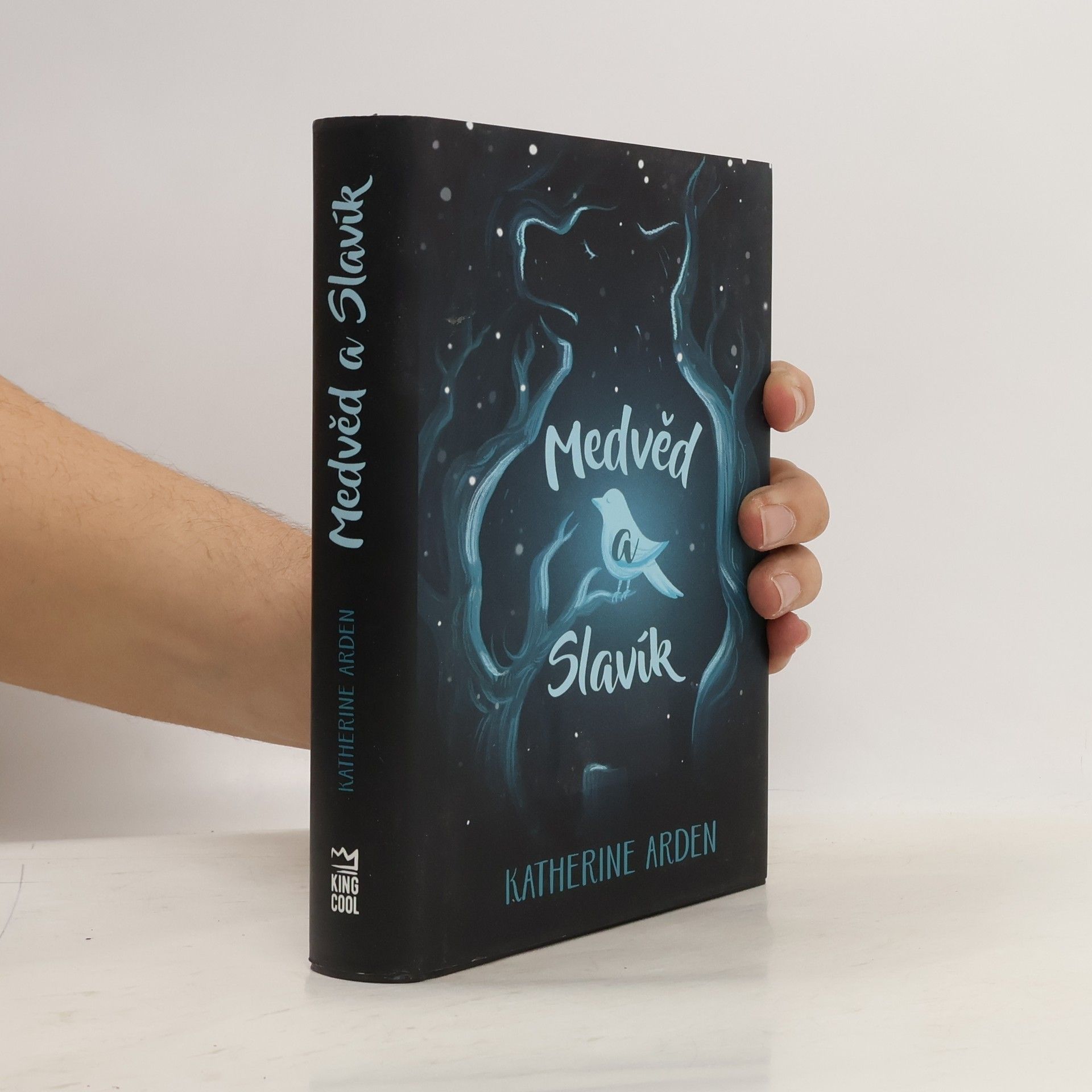 Katherine Arden Medvěd a Slavík