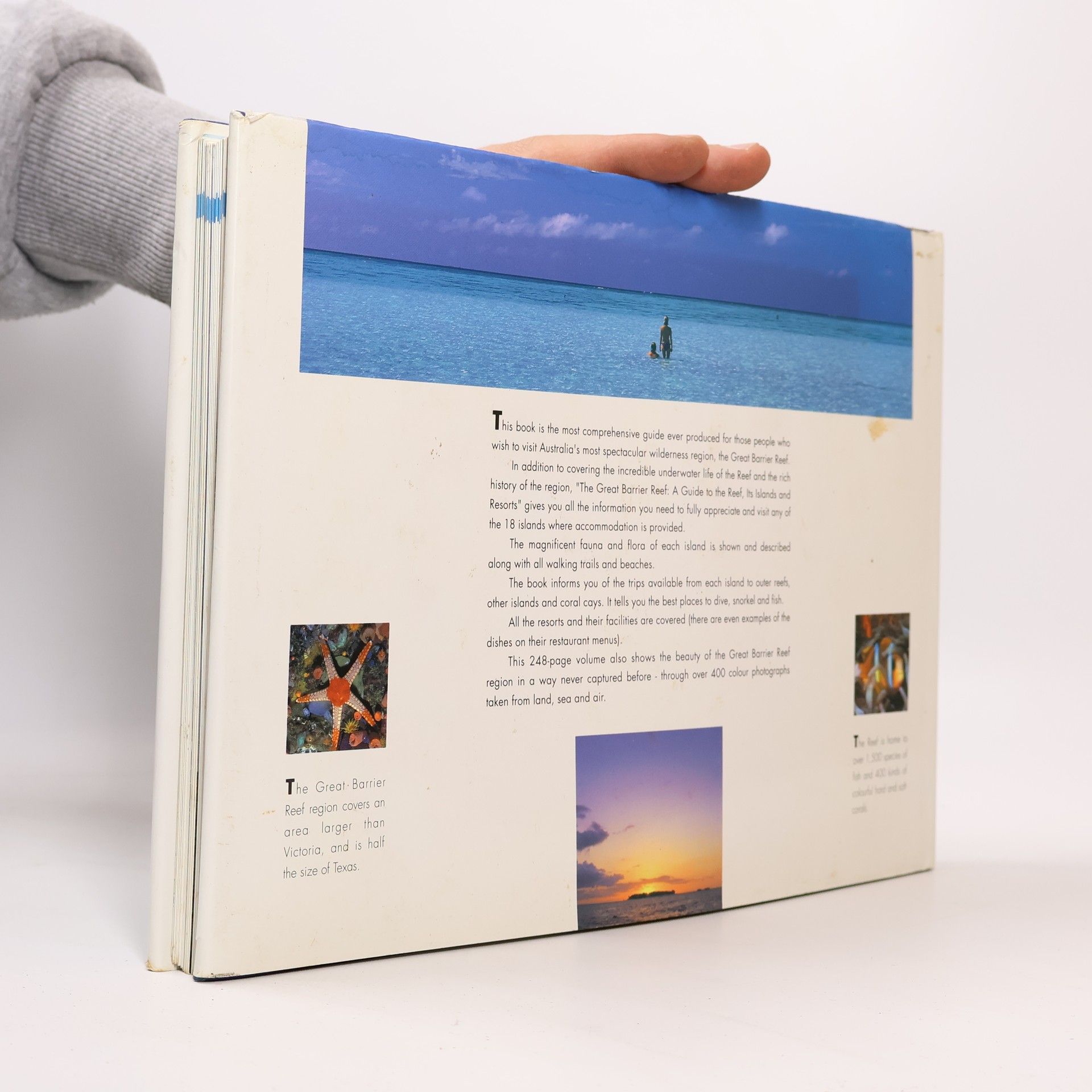 David Heenan The Great Barrier Reef