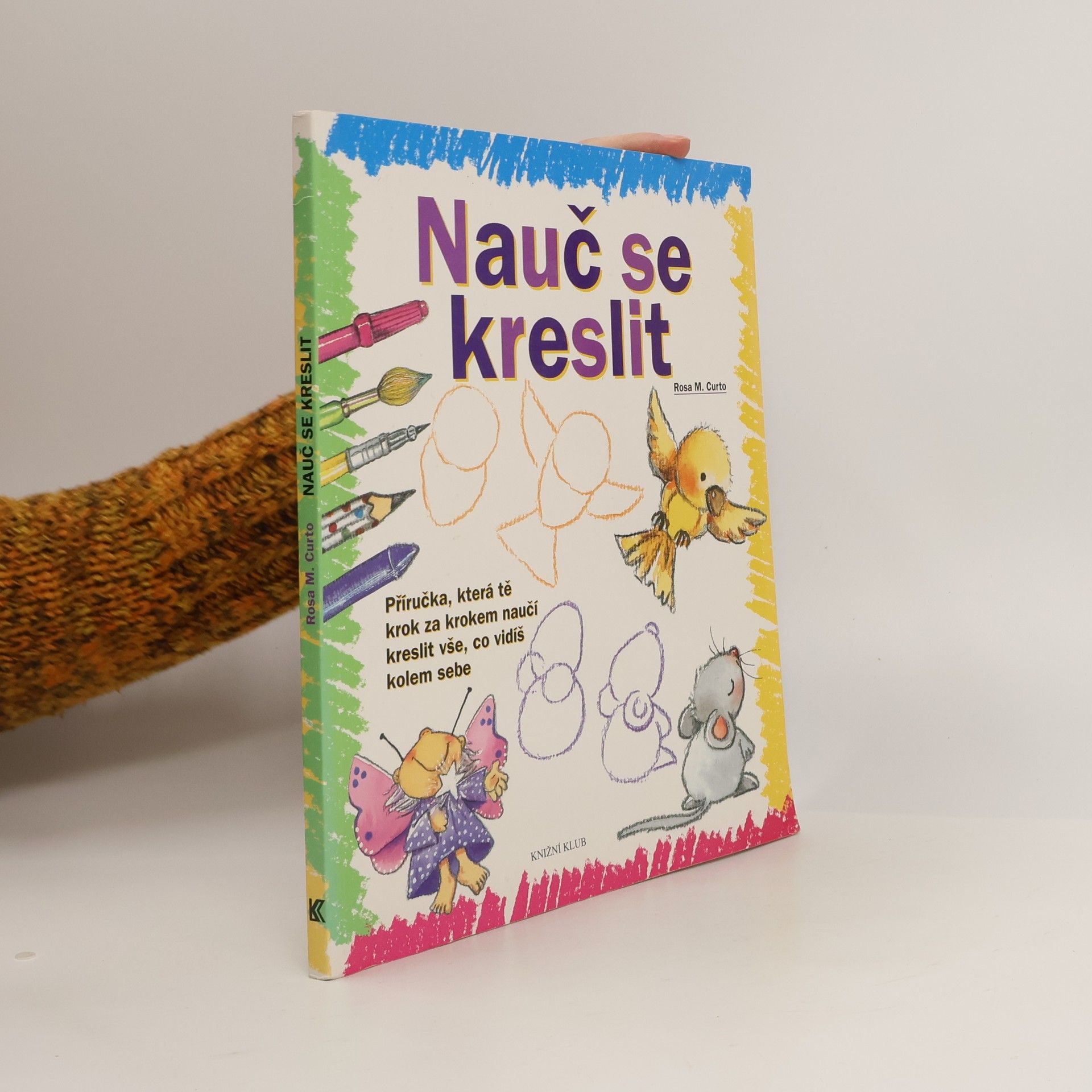 Rosa María Curto Nauč se kreslit. Příručka, která tě krok za krokem naučí kreslit vše, co vidíš kolem sebe