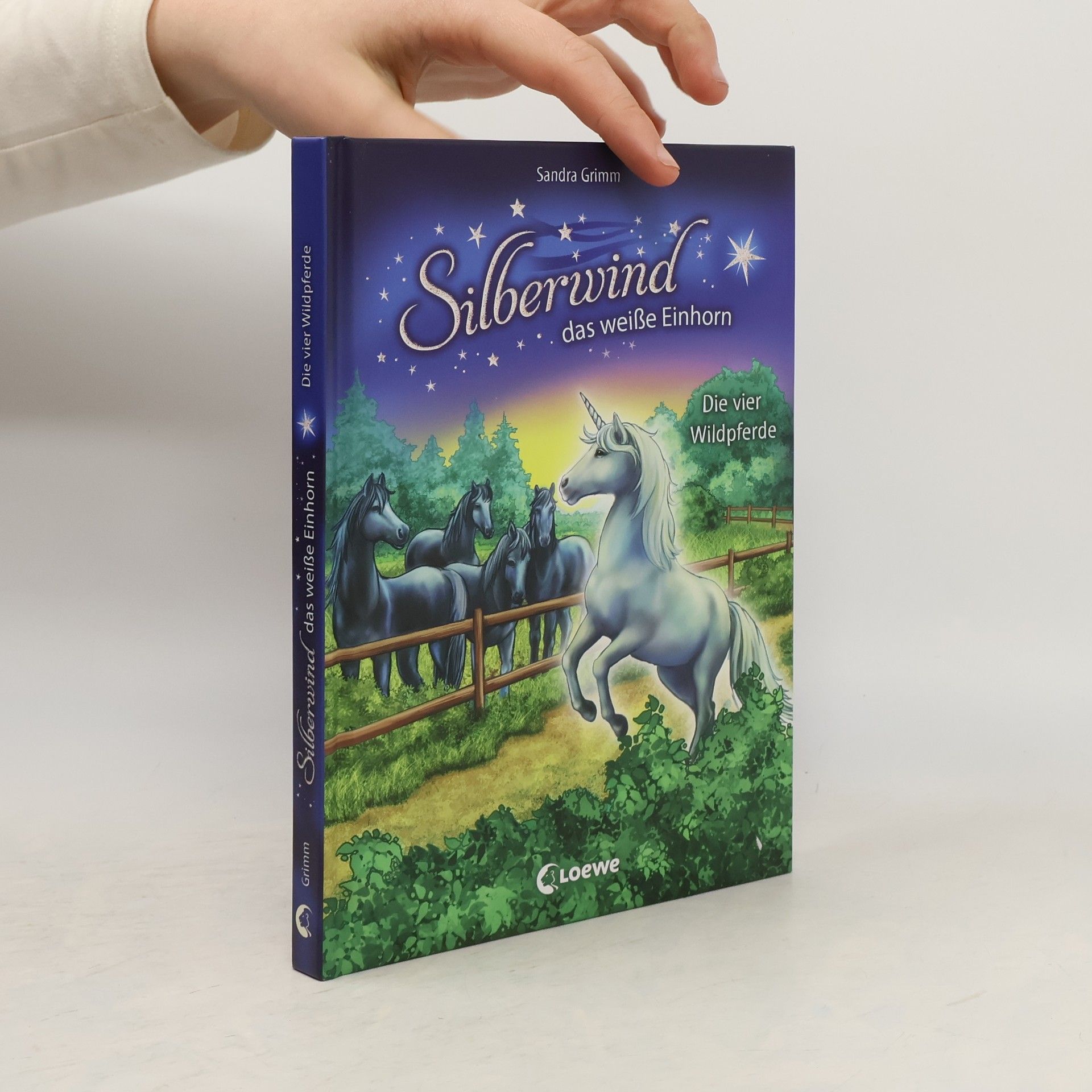 Sandra Grimm Die vier Wildpferde