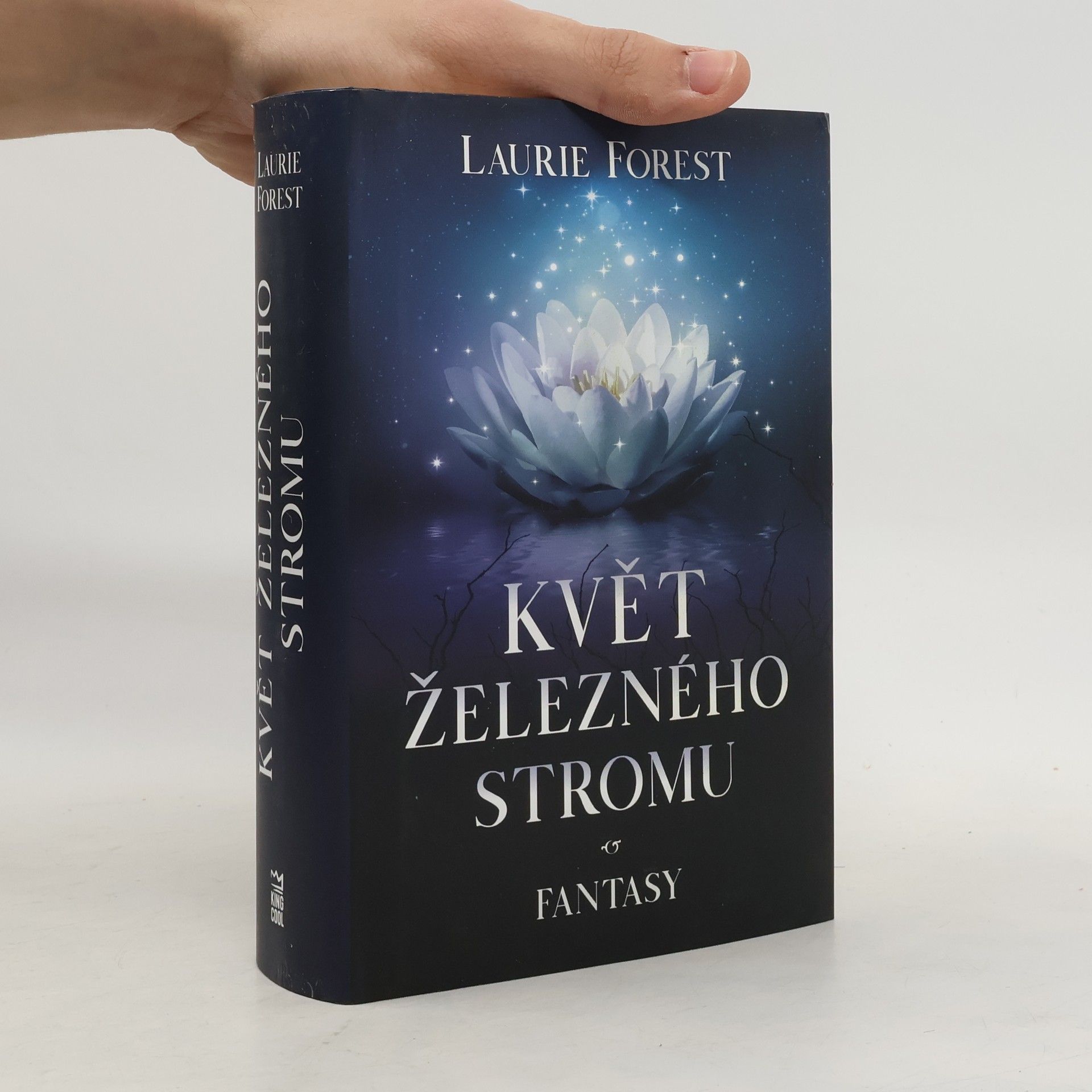 Laurie Forest Černá čarodějka