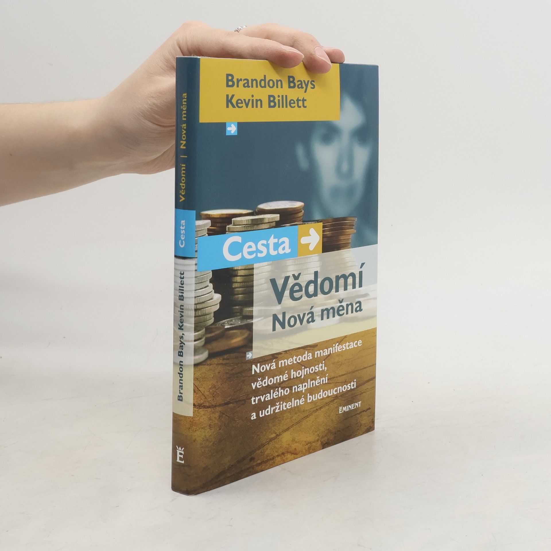 Brandon Bays Cesta, vědomí, nová měna