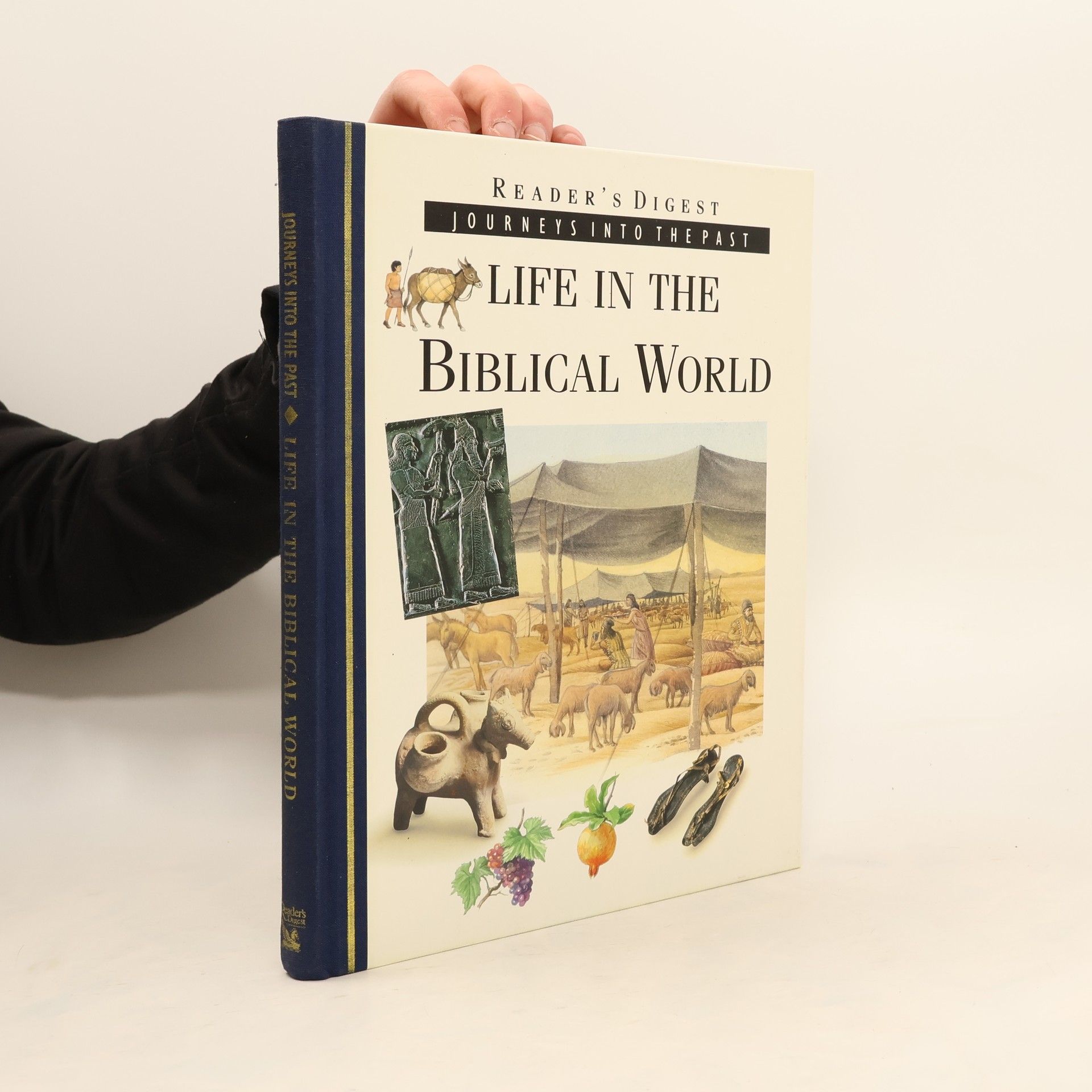 Richard Walker Life in the Biblical World