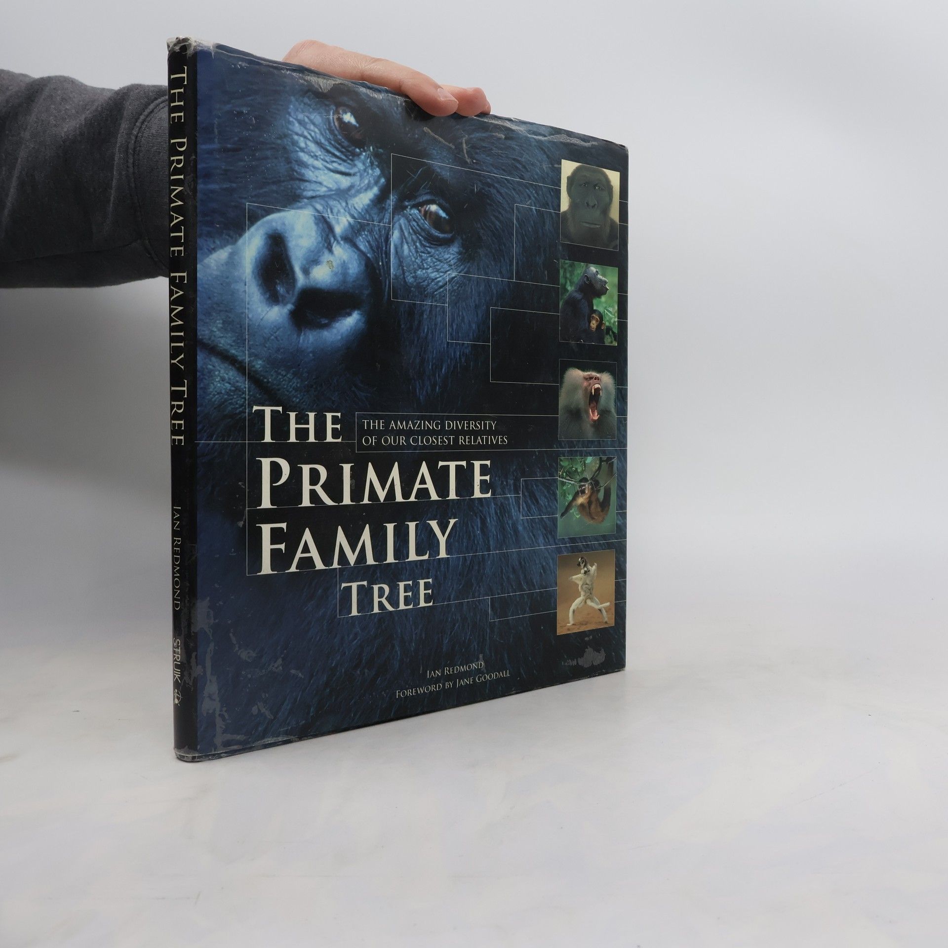 Ian Redmond The Primate Family Tree