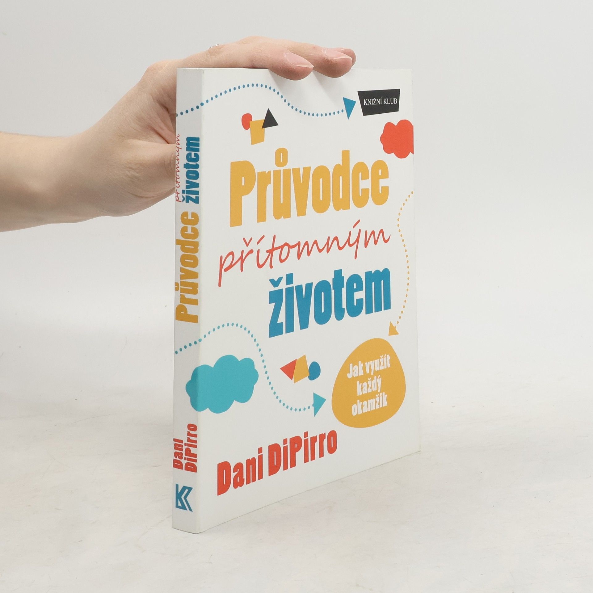 Dani DiPirro Průvodce přítomným životem: Jak využít každý okamžik