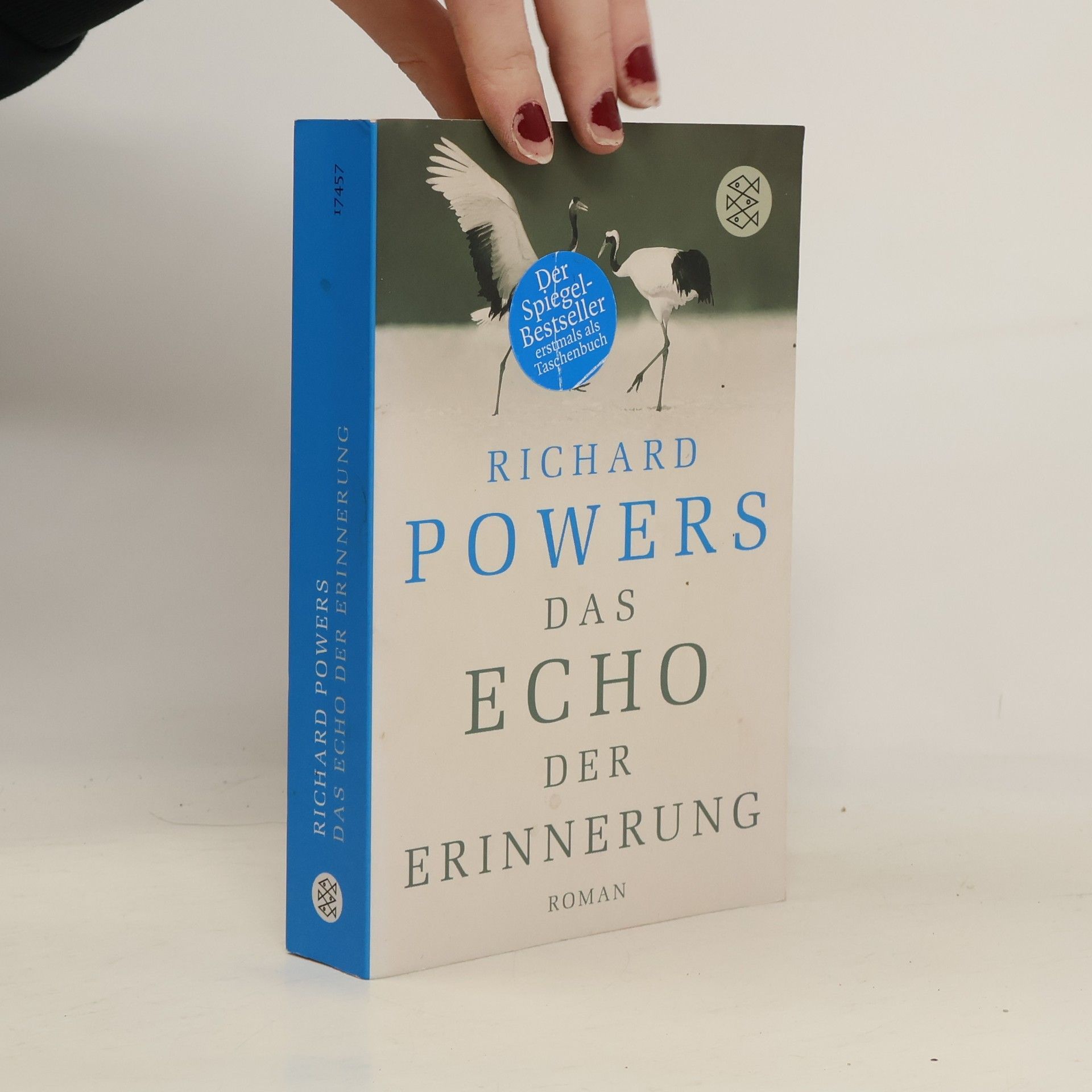 Richard Powers Das Echo der Erinnerung