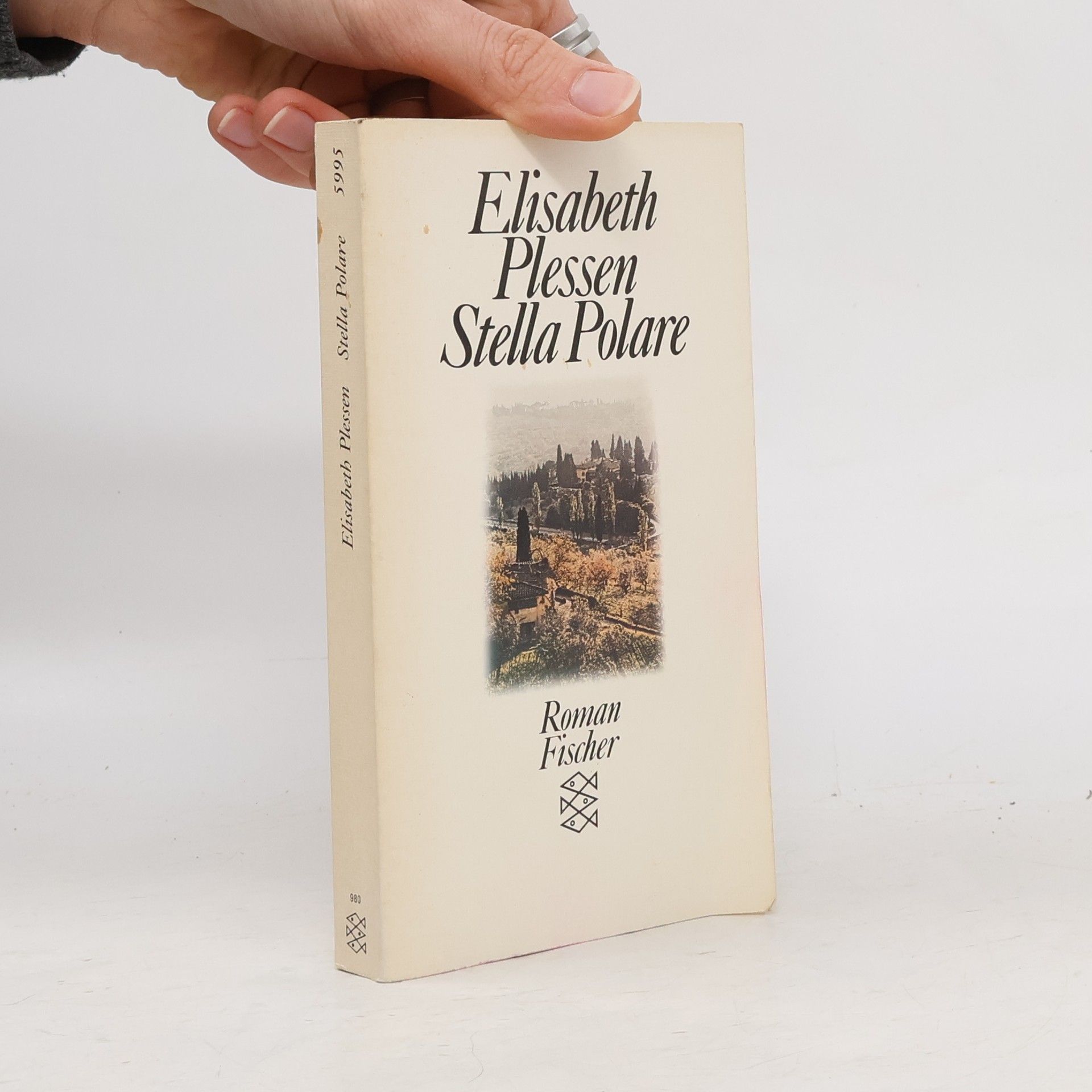 Elisabeth Plessen Stella polare