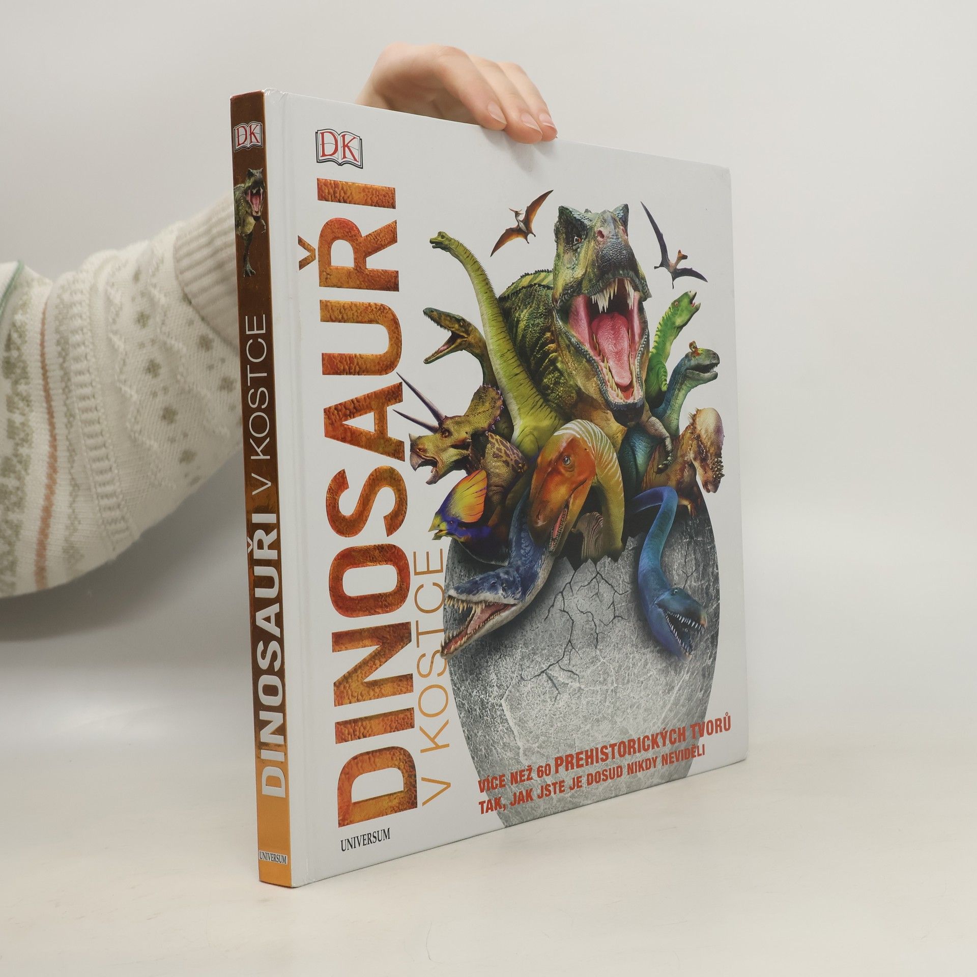 kolektiv Dinosauři v kostce