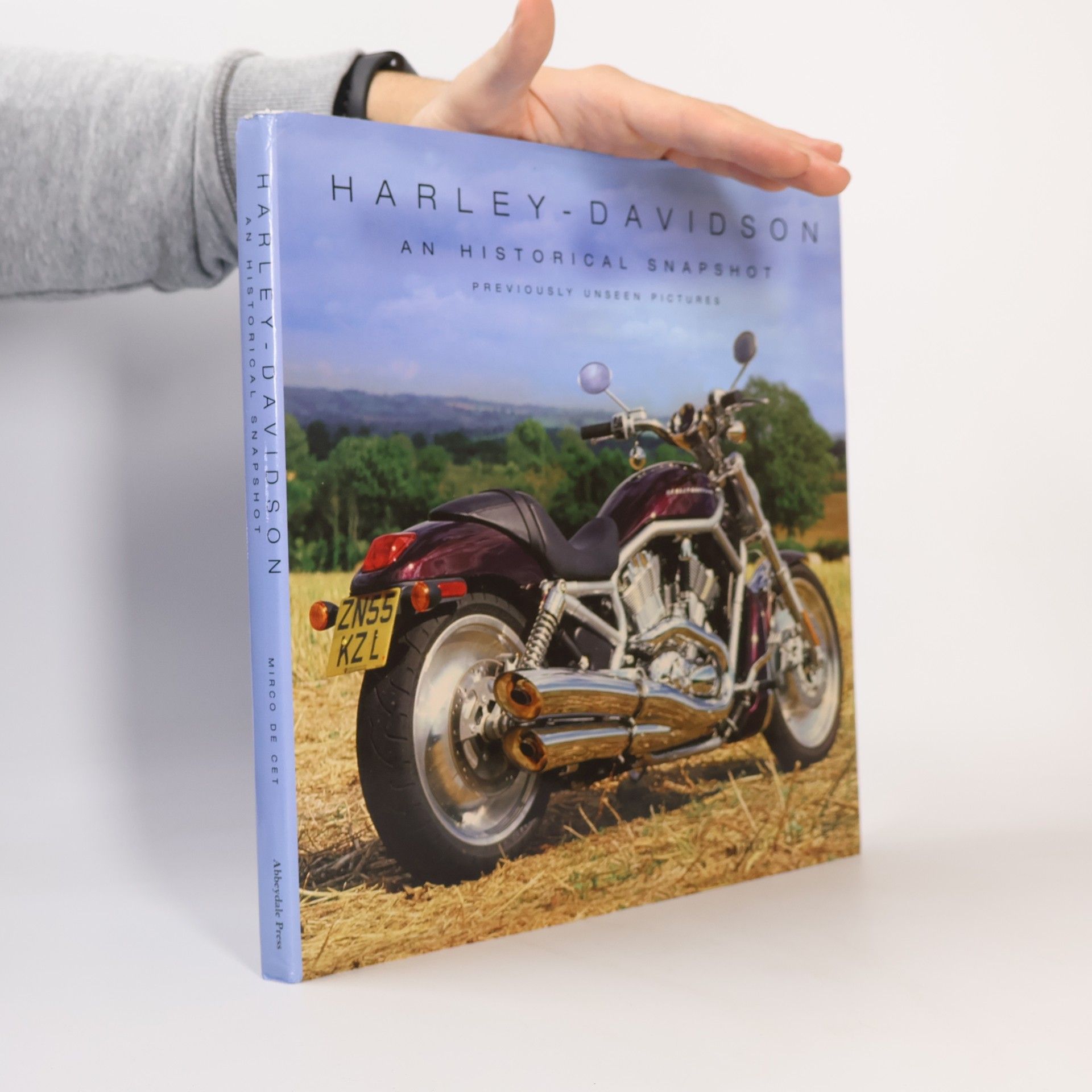 Mirco De Cet Harley Davidson