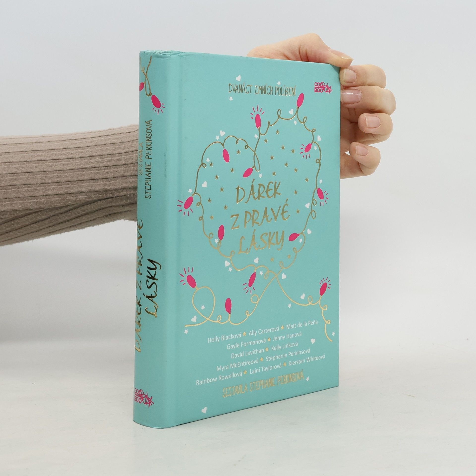 Stephanie Perkins Dárek z pravé lásky