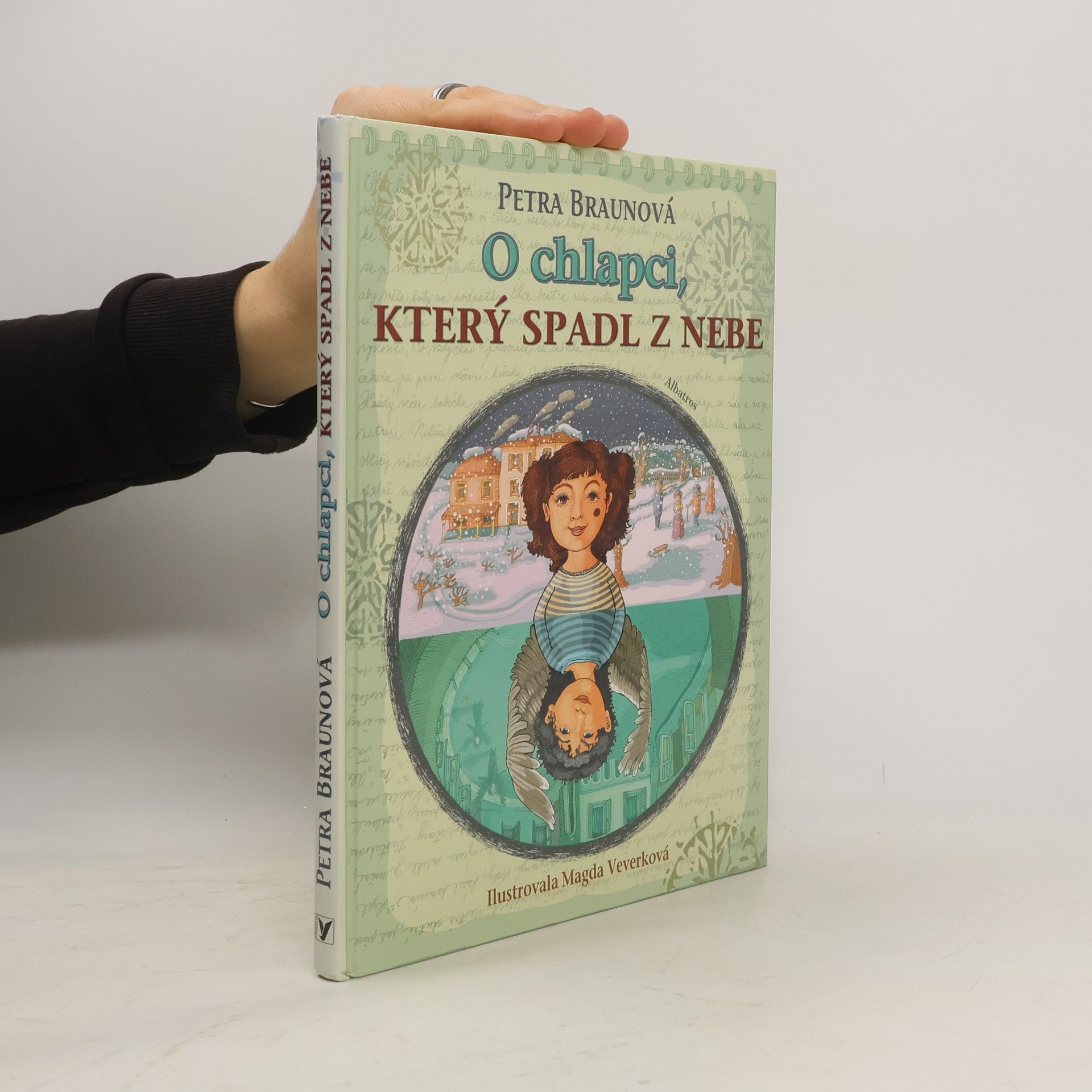 Petra Braun Groh O chlapci, který spadl z nebe