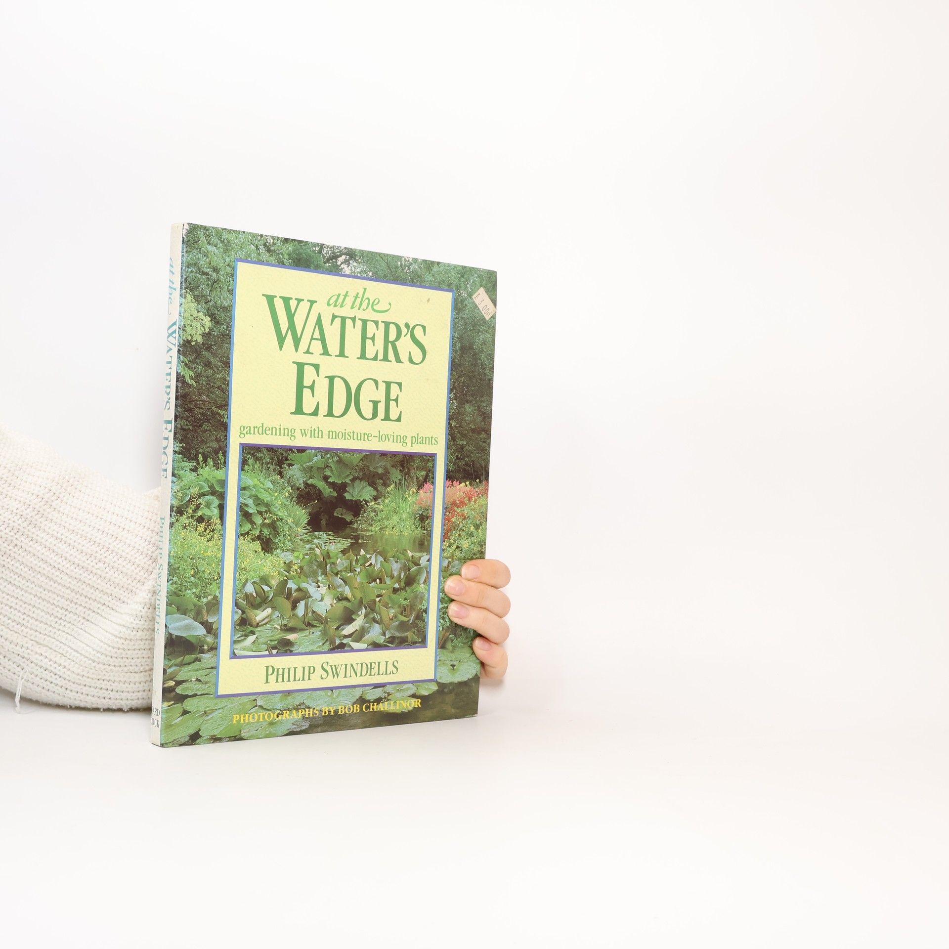 Philip Swindells At the Water's Edge