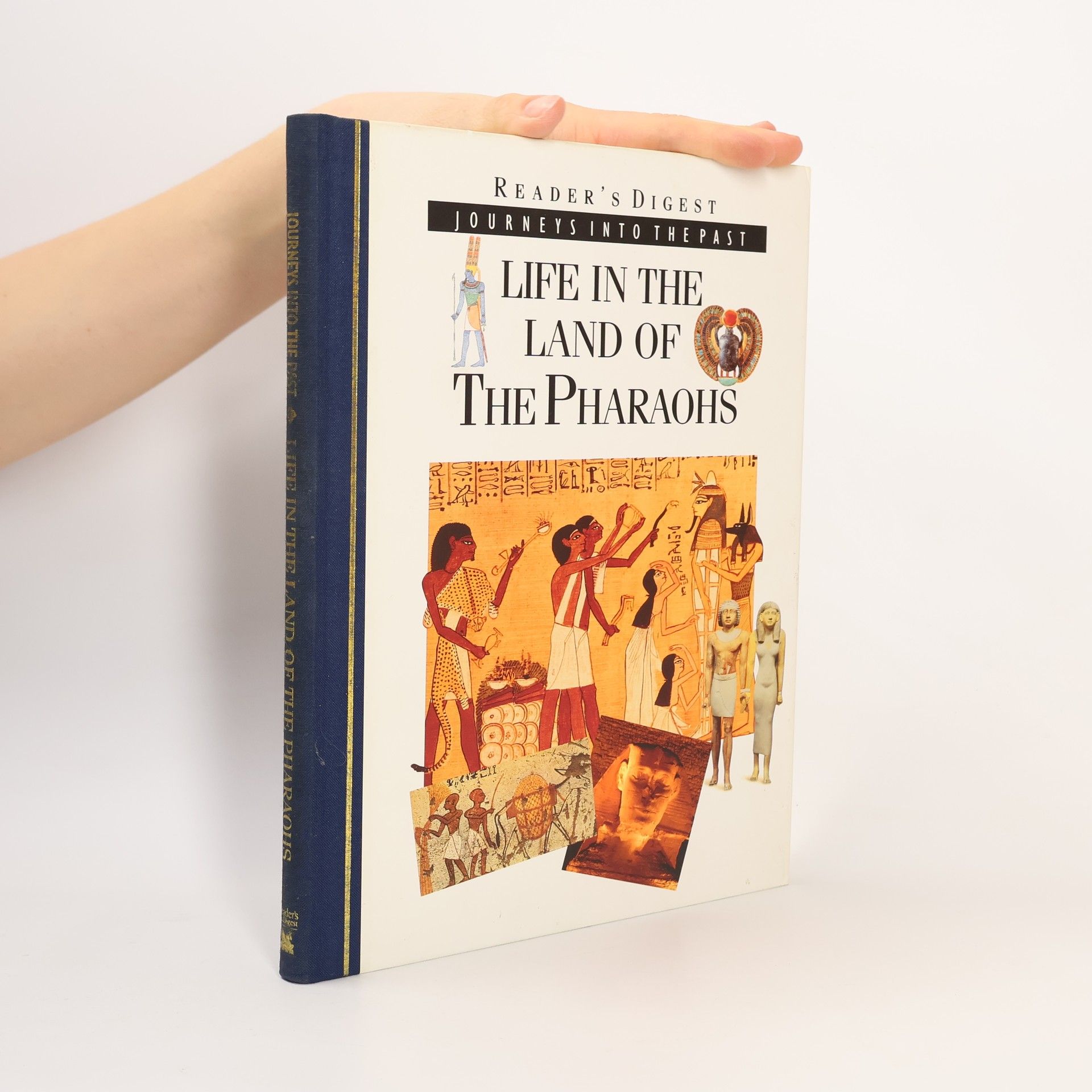 Tim Healey Life in the Land of the Pharaohs