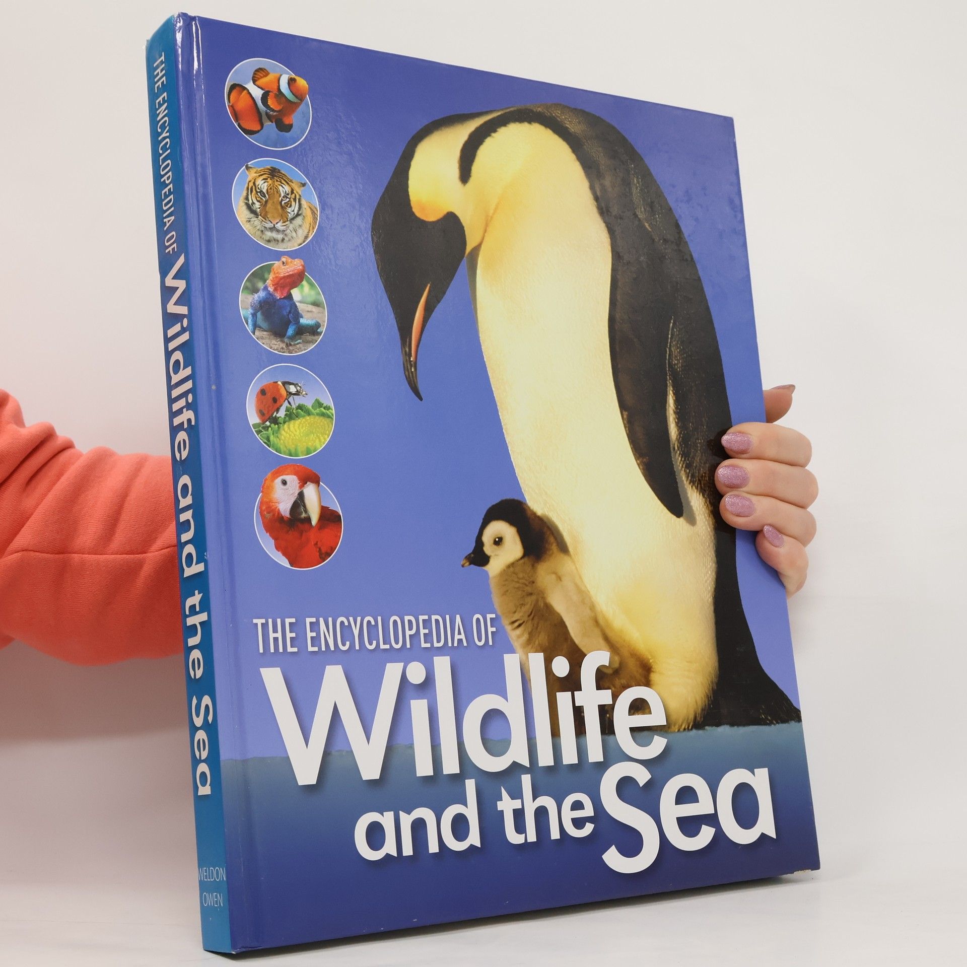 Kolektív autorov The Encyclopedia of Wildlife and the Sea