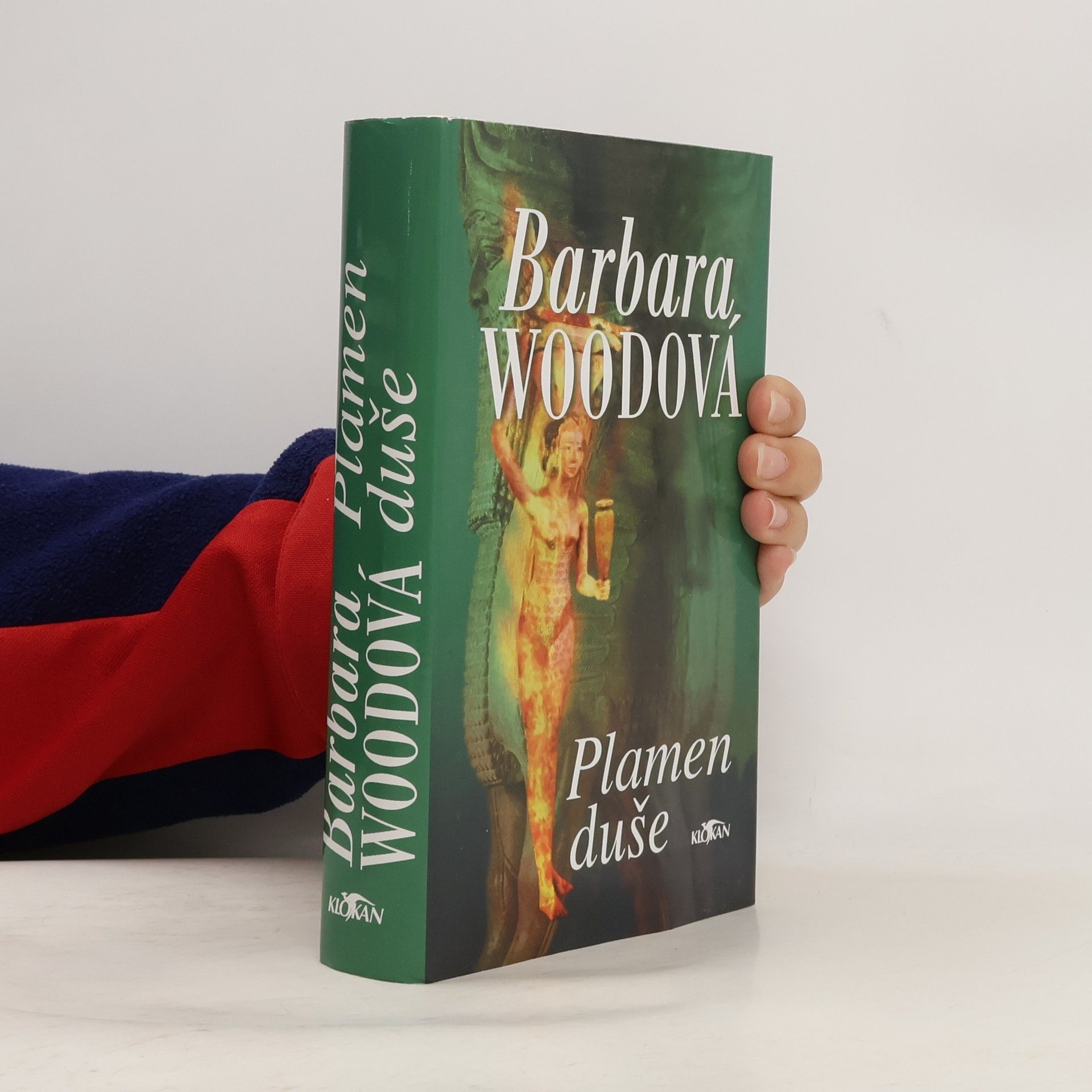 Barbara Wood Plamen duše