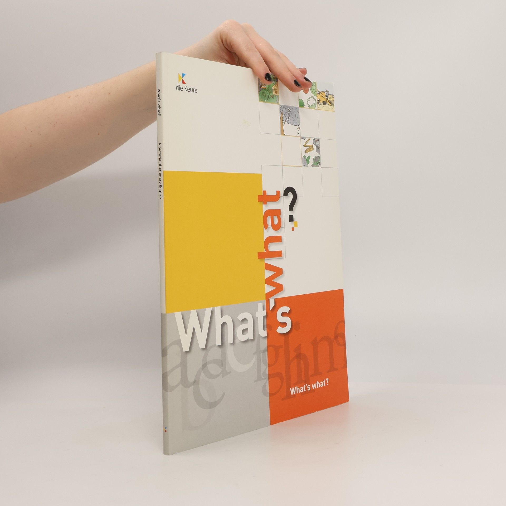 Jean-Paul Steevens What's What? A Pictorial Dictionary English