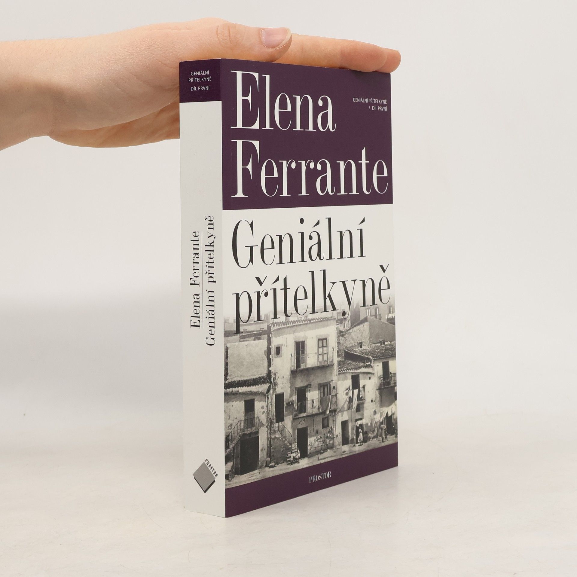 Elena Ferrante Geniální přítelkyně 1. Dětství a dospívání
