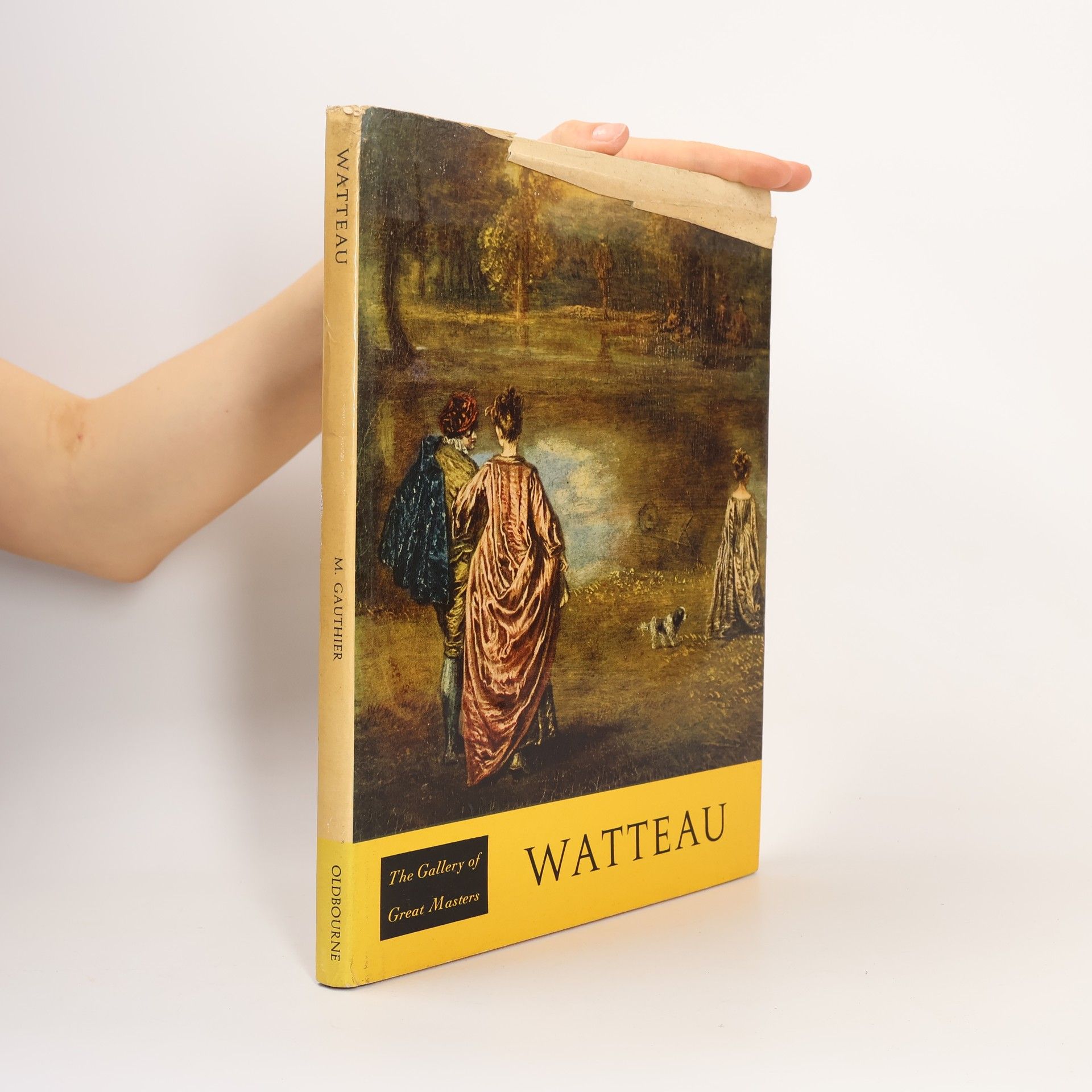 Kolektiv autorů Watteau