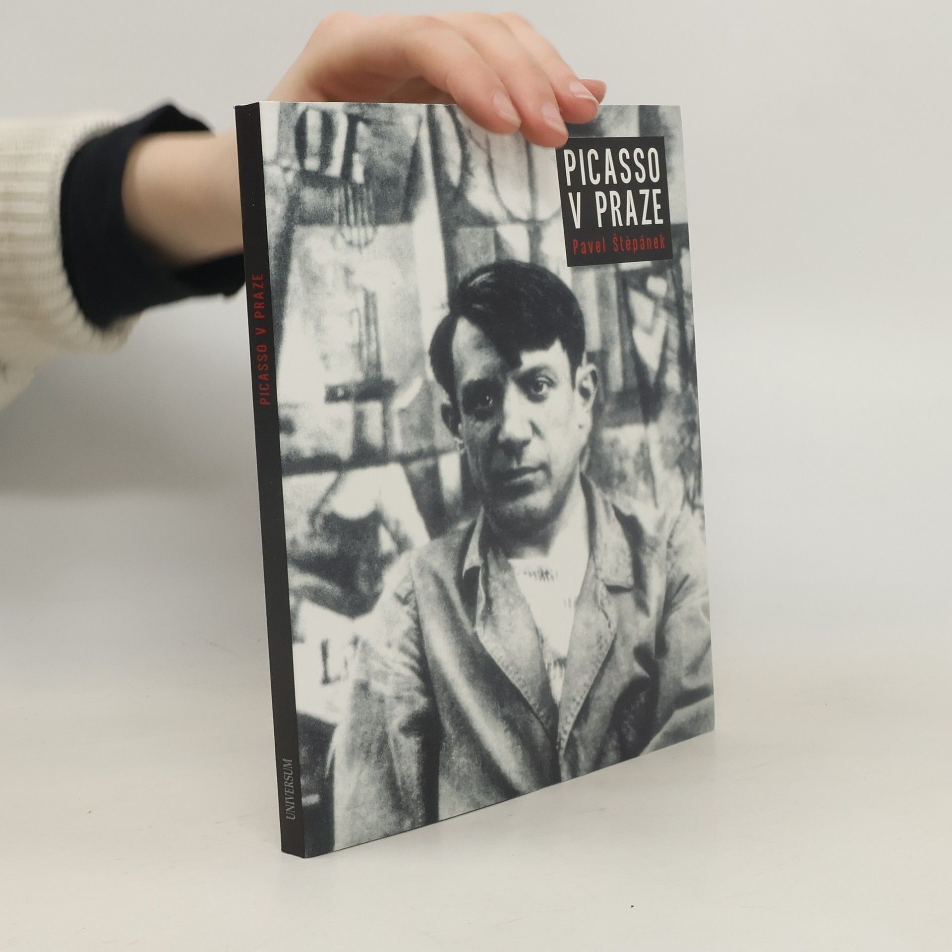 Pavel Stepanek Picasso v Praze
