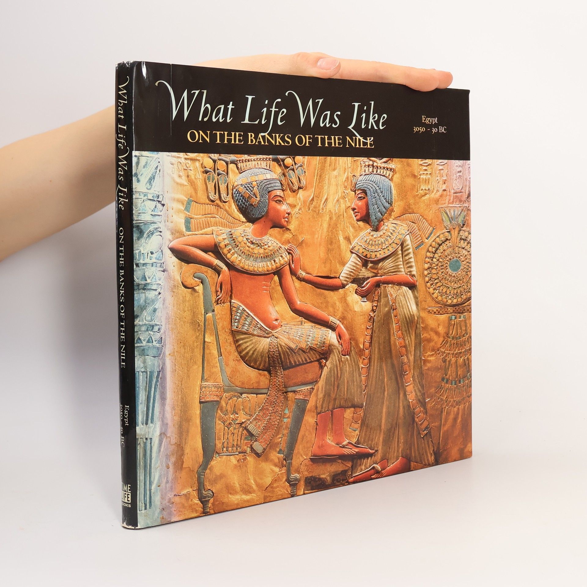 AA.VV. What Life Was Like on the Banks of the Nile