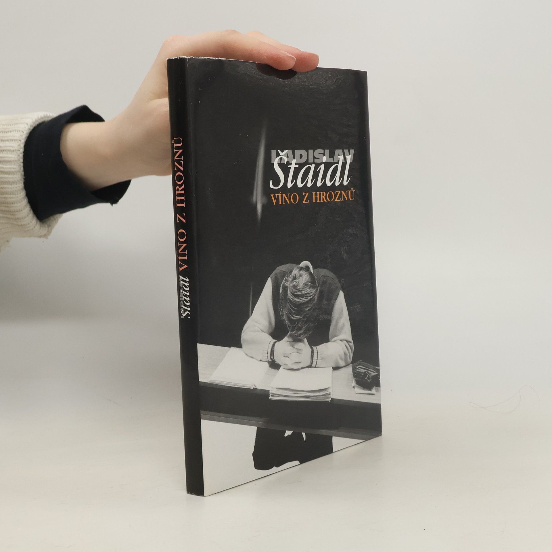 Ladislav Štaidl Víno z hroznů