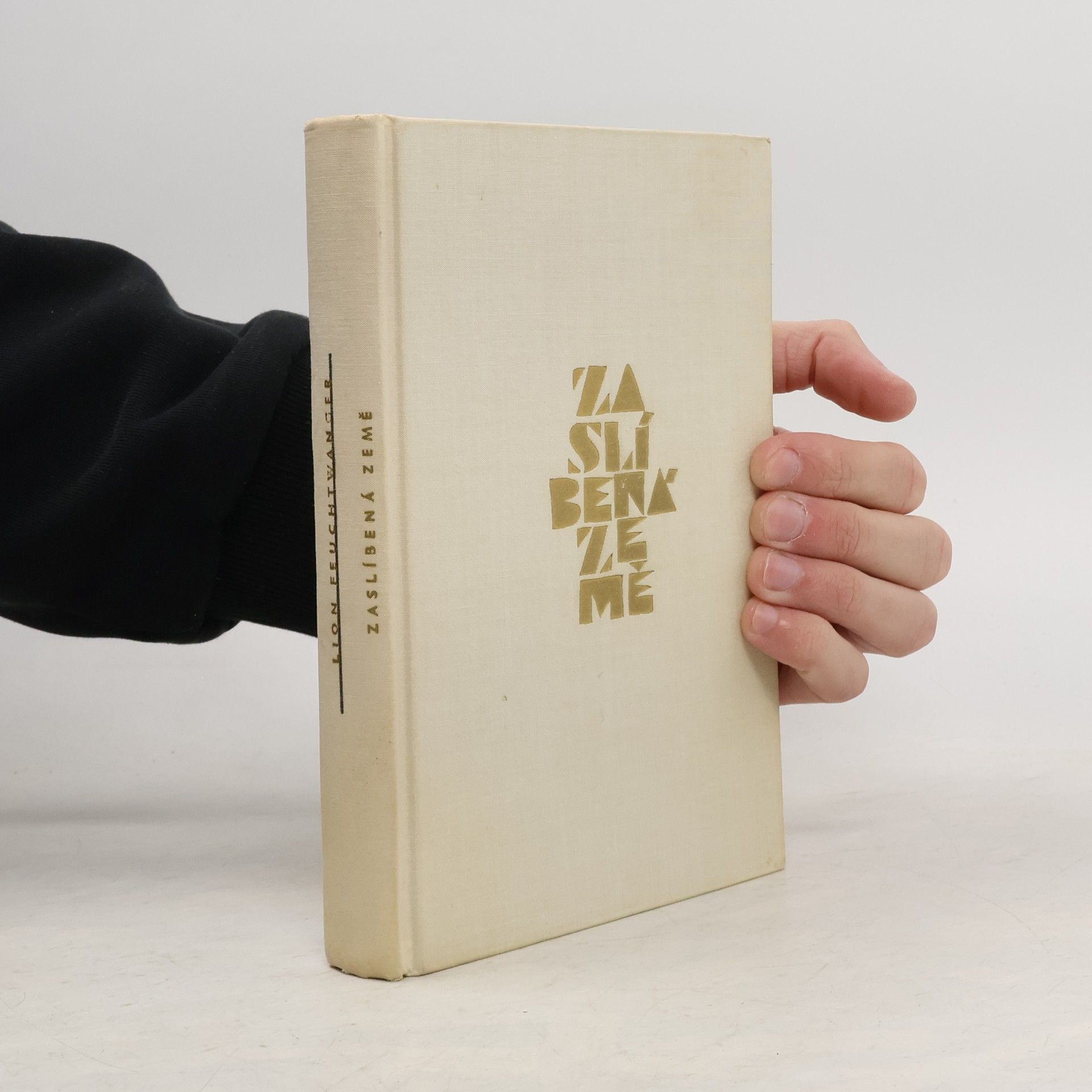 Lion Feuchtwanger Zaslíbená země