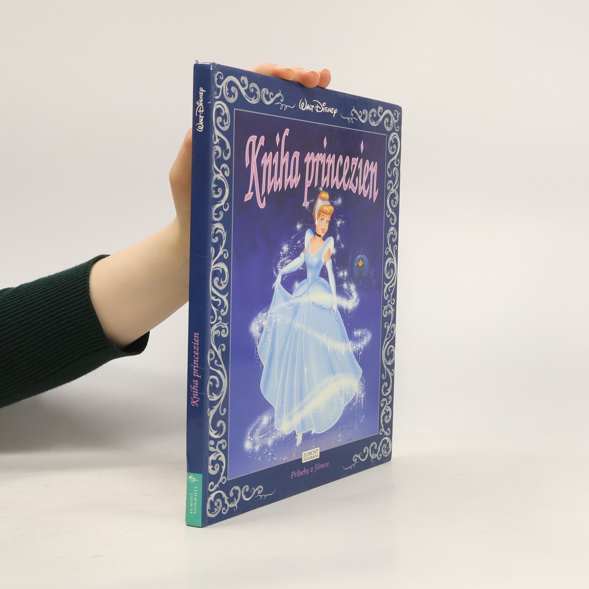 Autores varios Kniha princezien