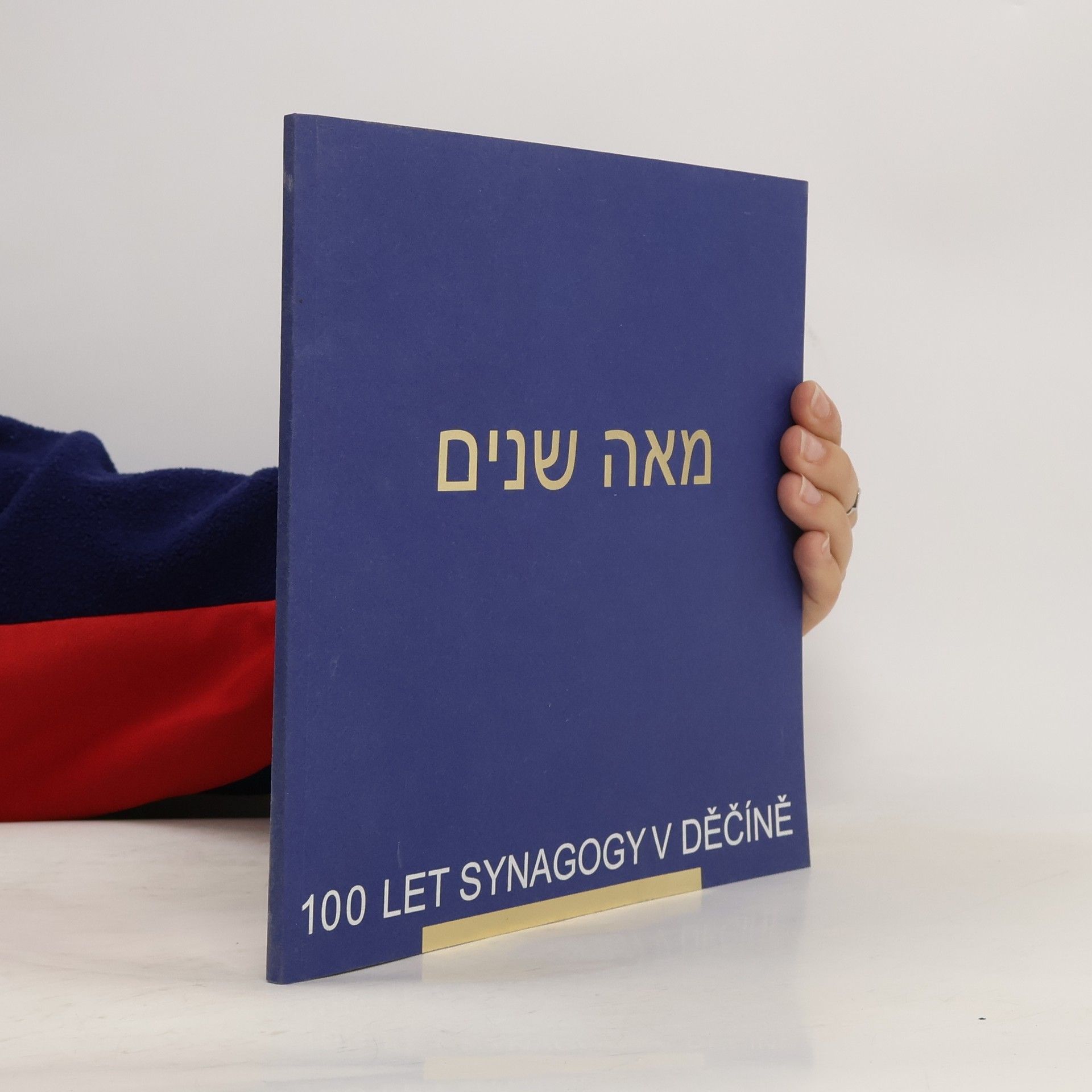 Autorenkollektiv 100 let synagogy v Děčíně