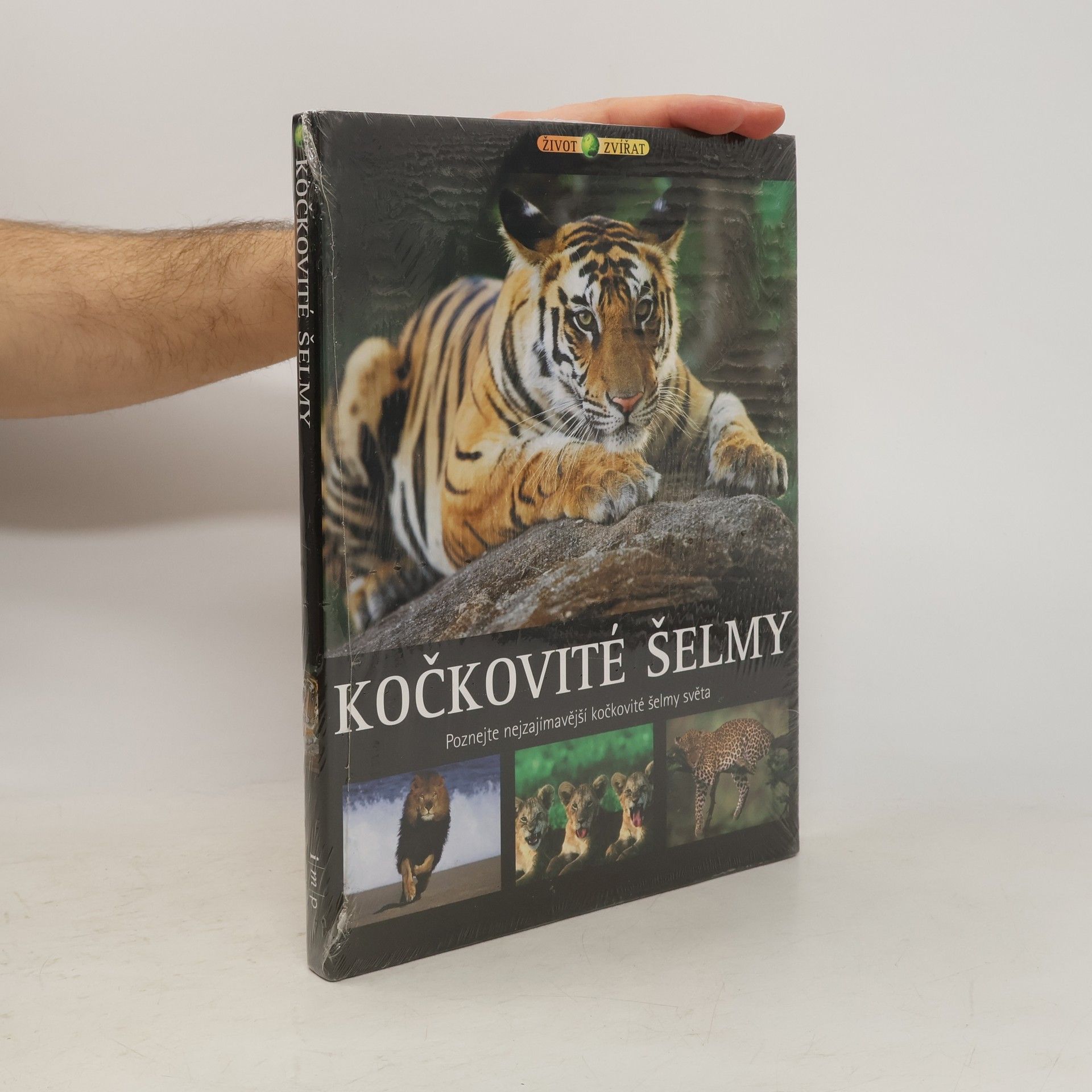 Vladimír Motyčka Kočkovité šelmy