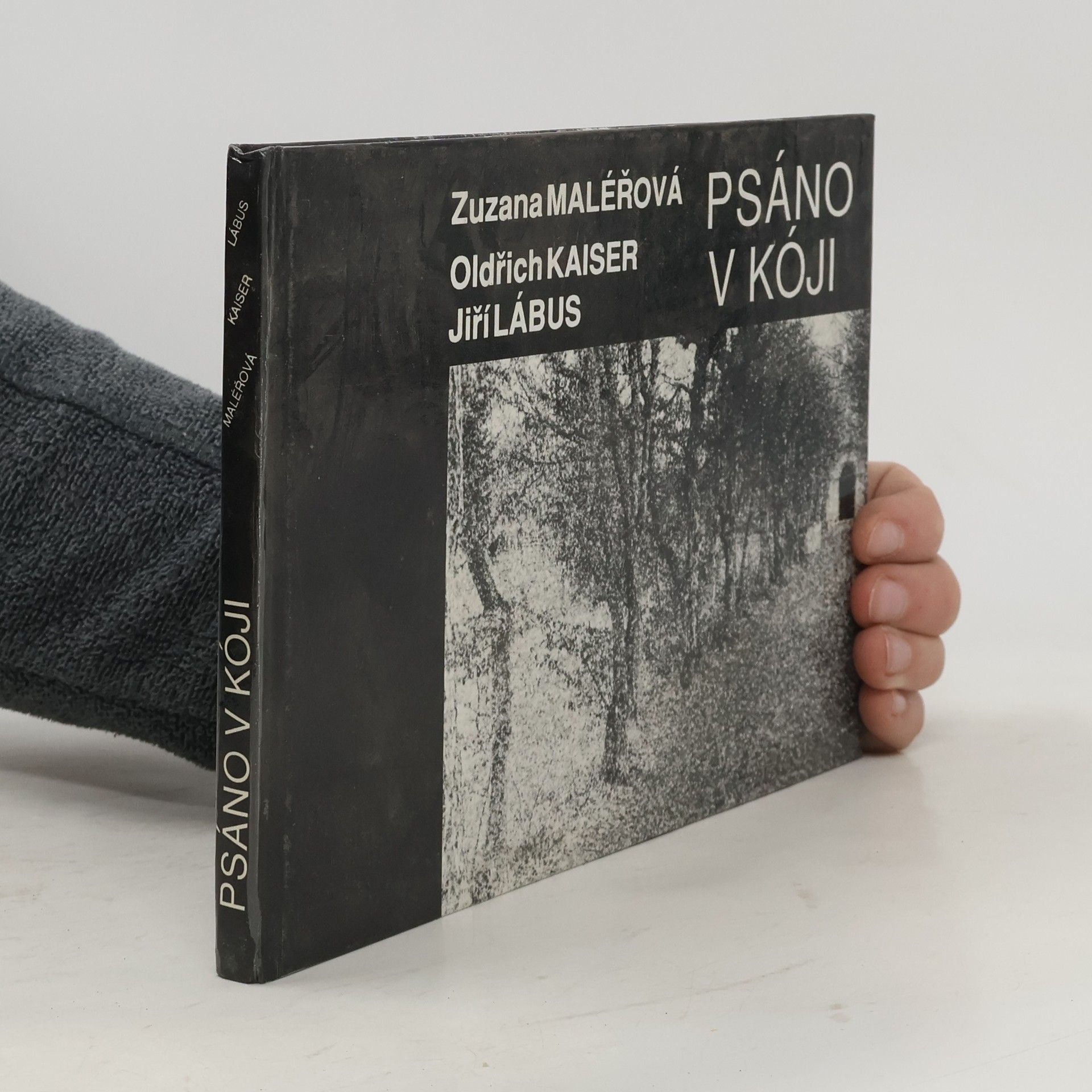 Zuzana Maléřová Psáno v kóji