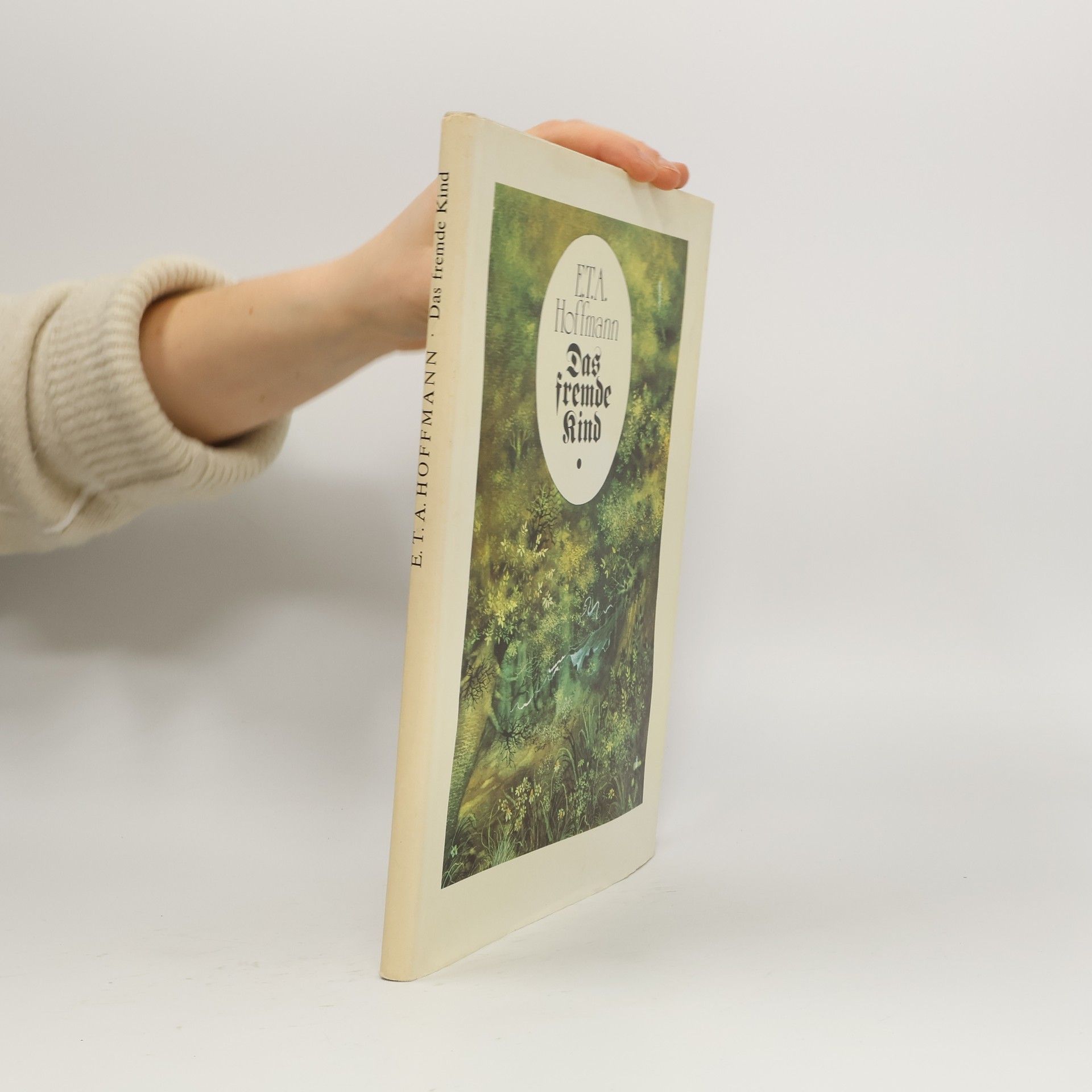 E. T. A. Hoffmann Das Fremde Kind