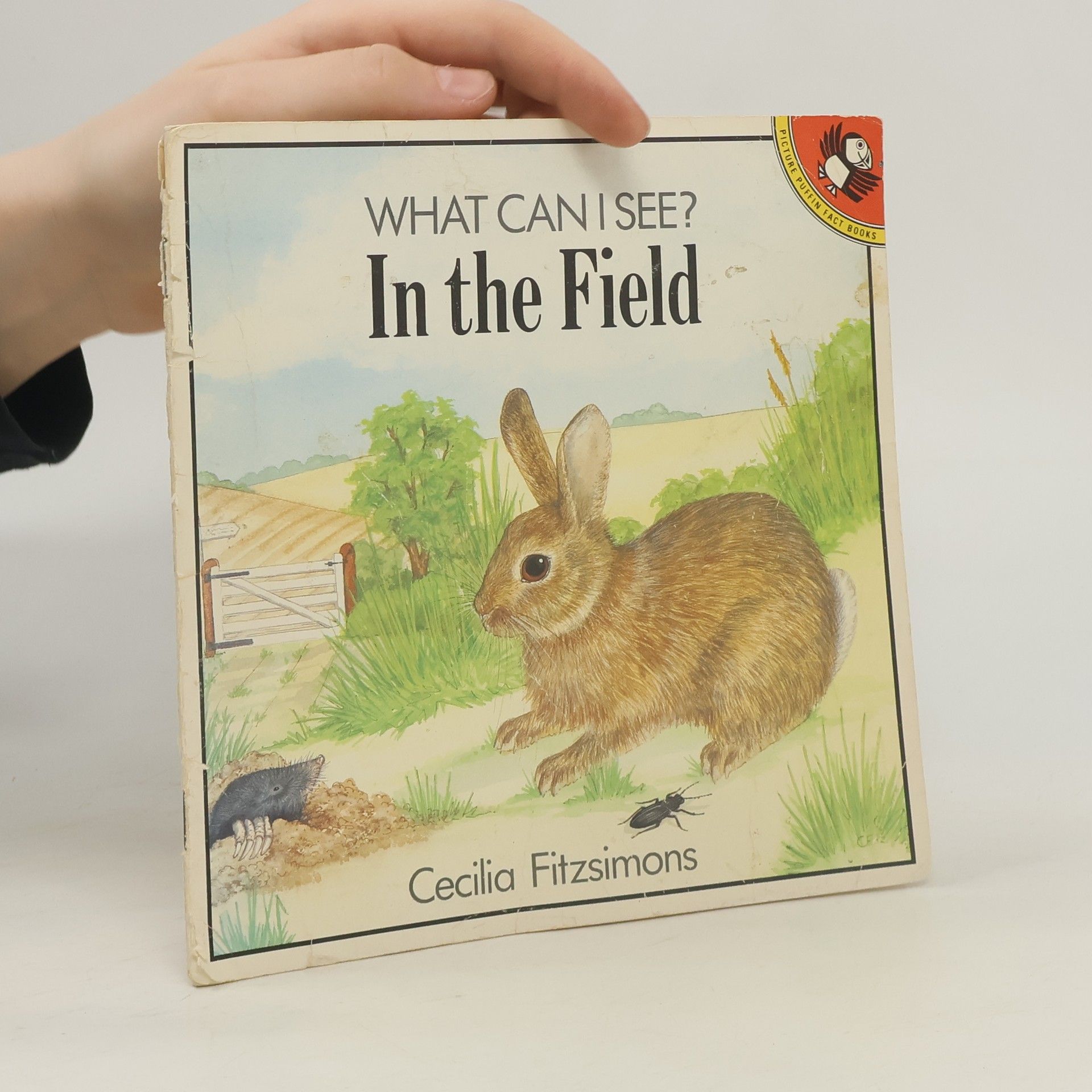 Cecilia Fitzsimons Picture Puffin Fact Books: What Can I See?