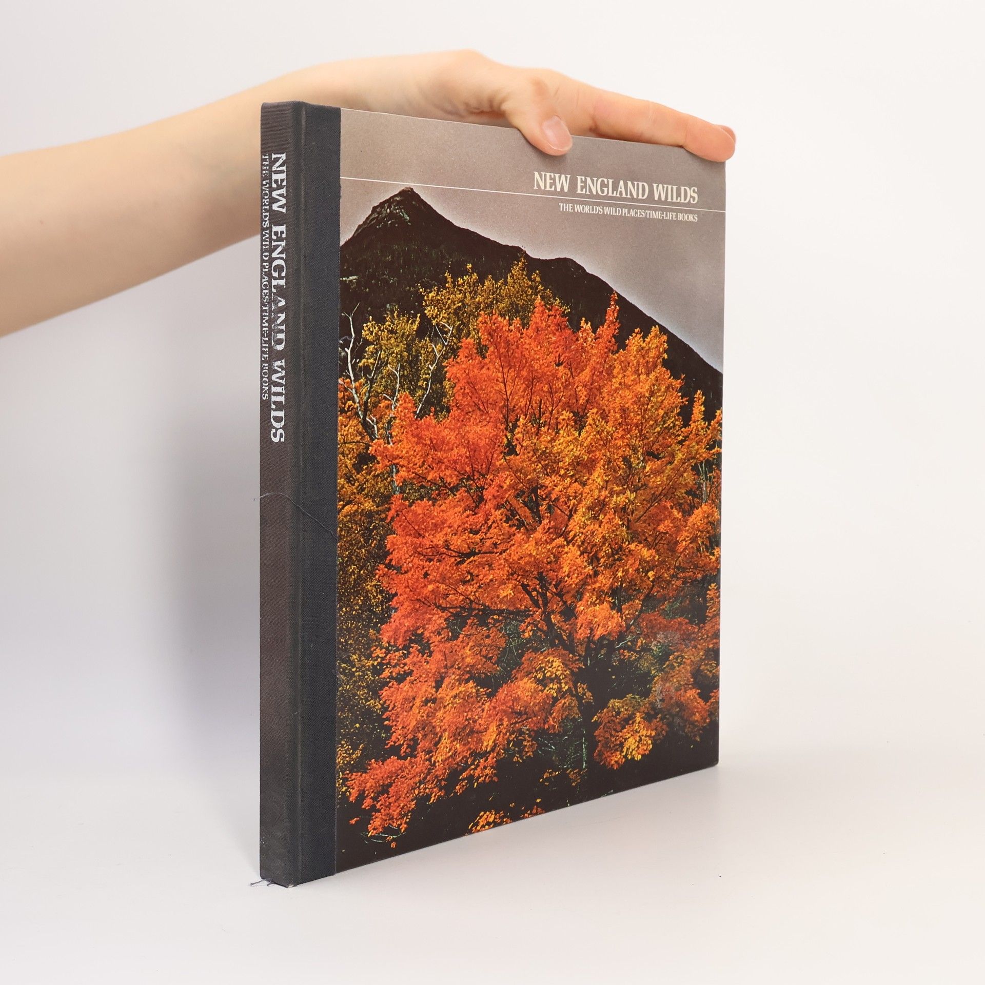 Various authors New England Wilds