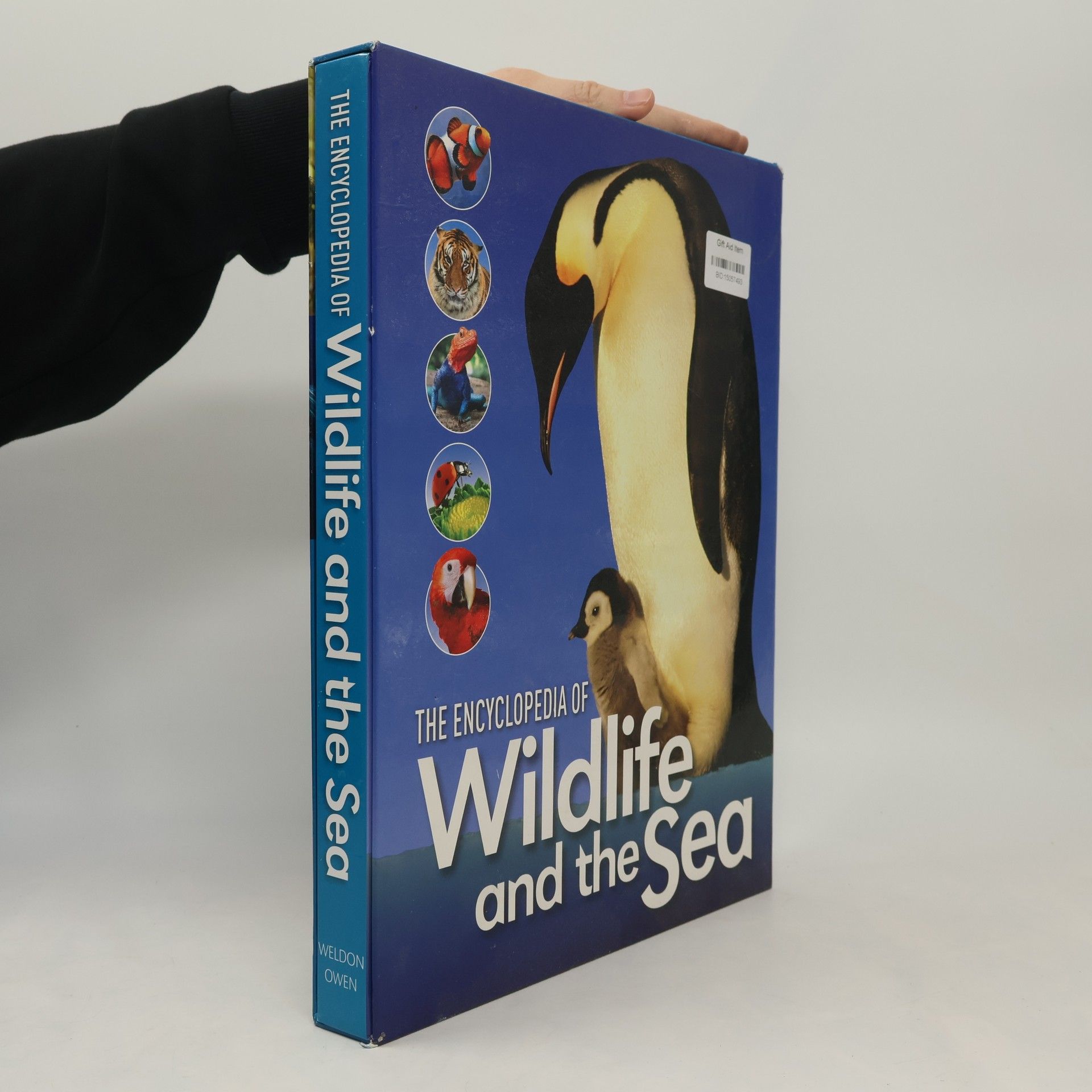 Autorenkollektiv The Encyclopedia of Wildlife and the Sea