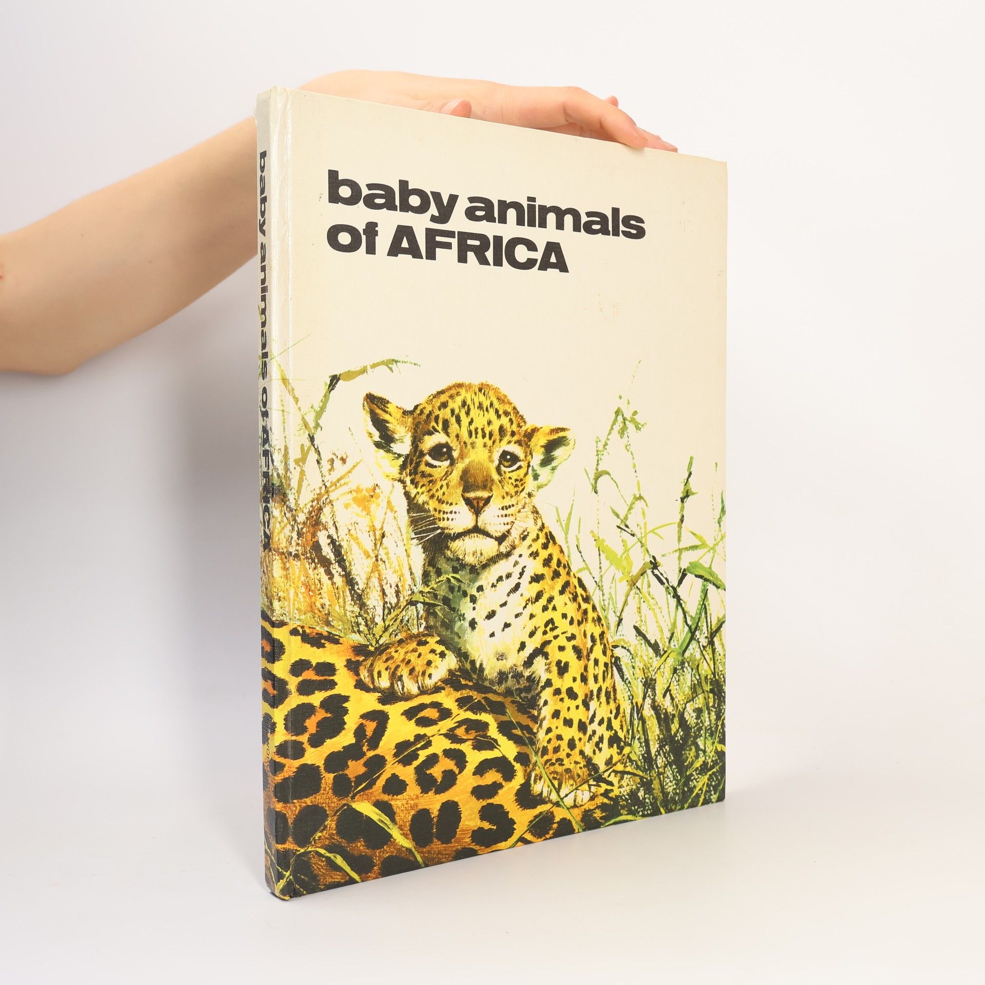 Henriette Bichonnier Baby Animals of Africa