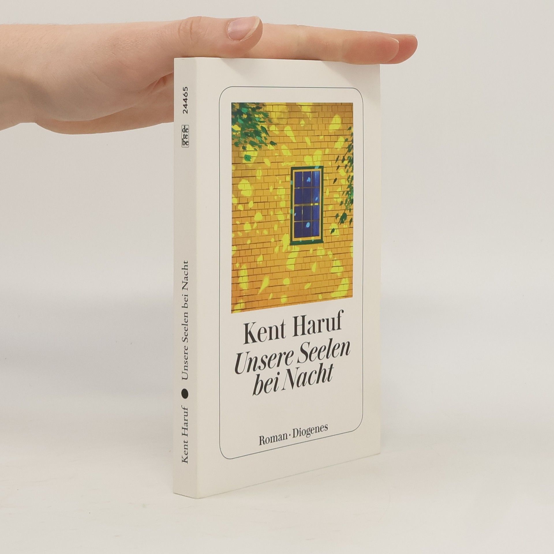 Kent Haruf Unsere Seelen bei Nacht