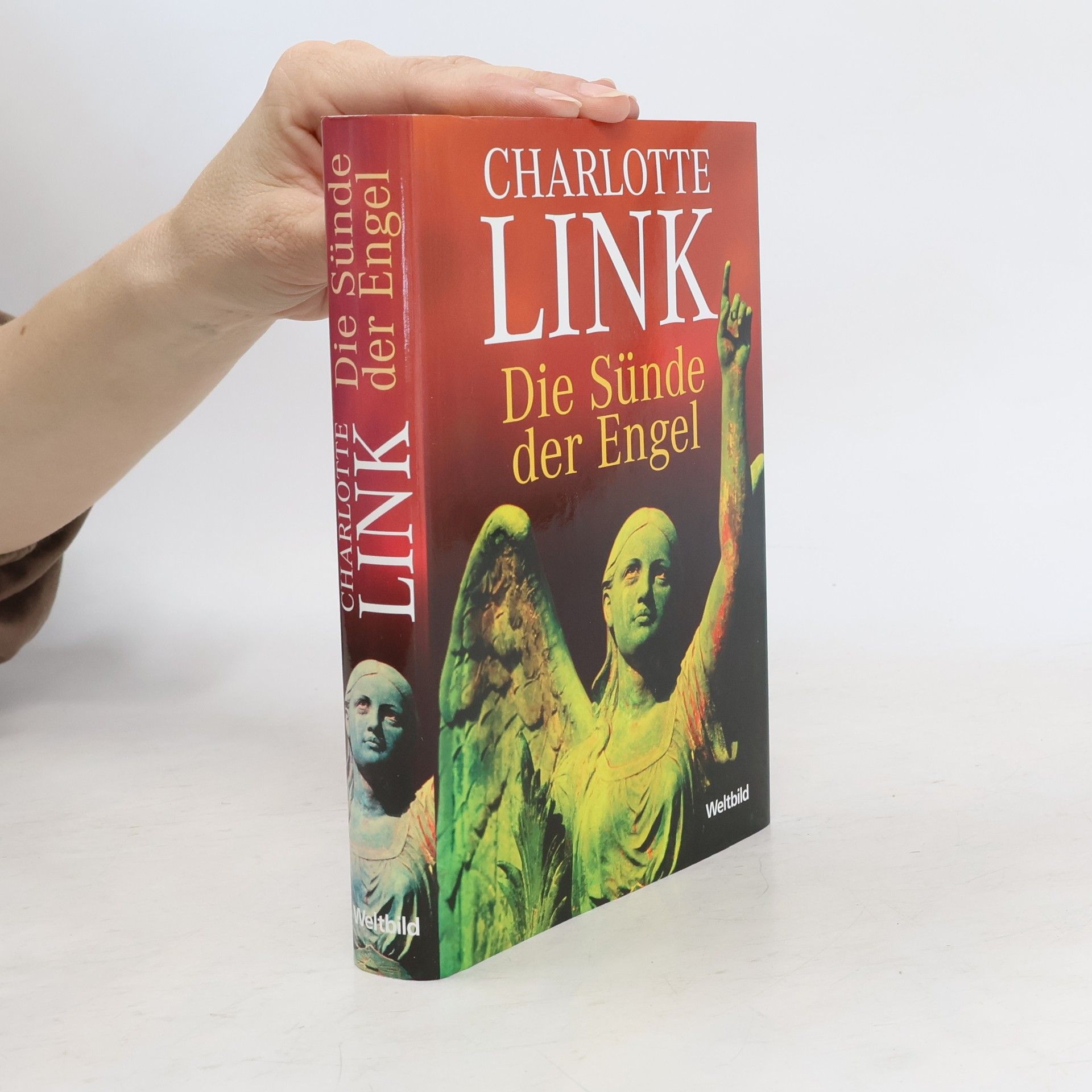 Charlotte Link Die Sünde der Engel