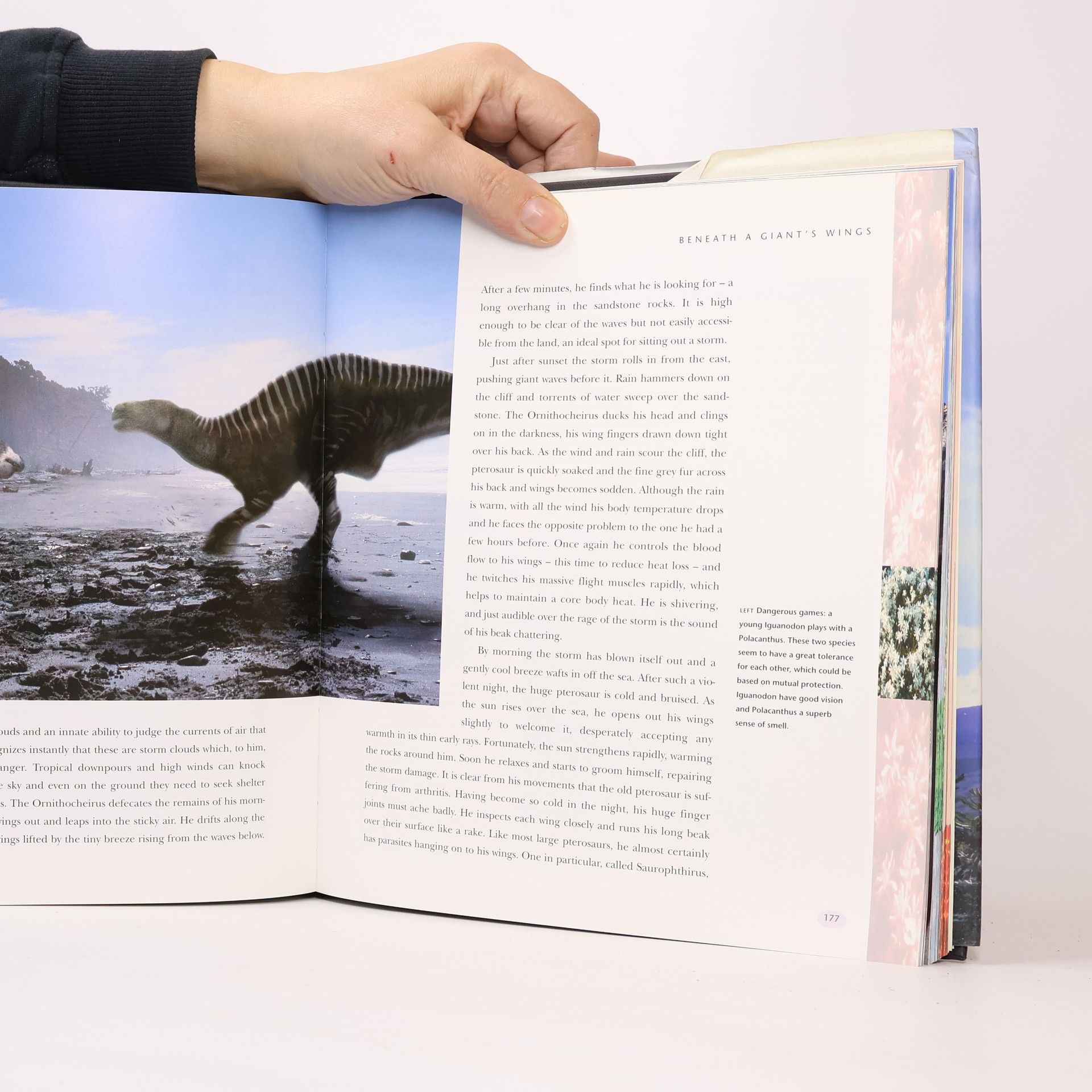 Tim Haines Walking with Dinosaurs