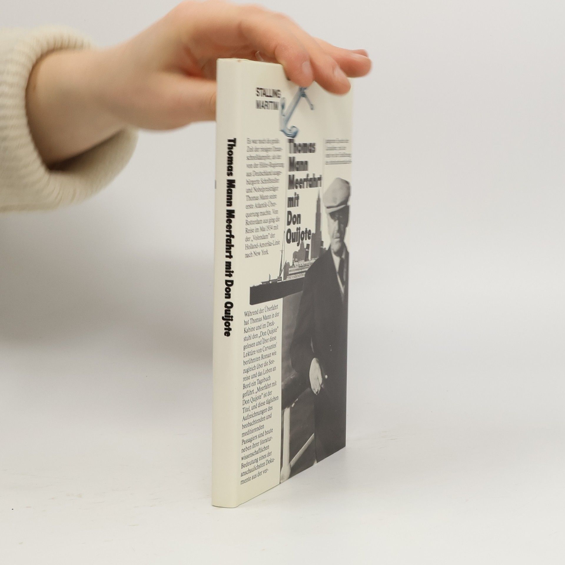 Thomas Mann Meerfahrt mit Don Quijote