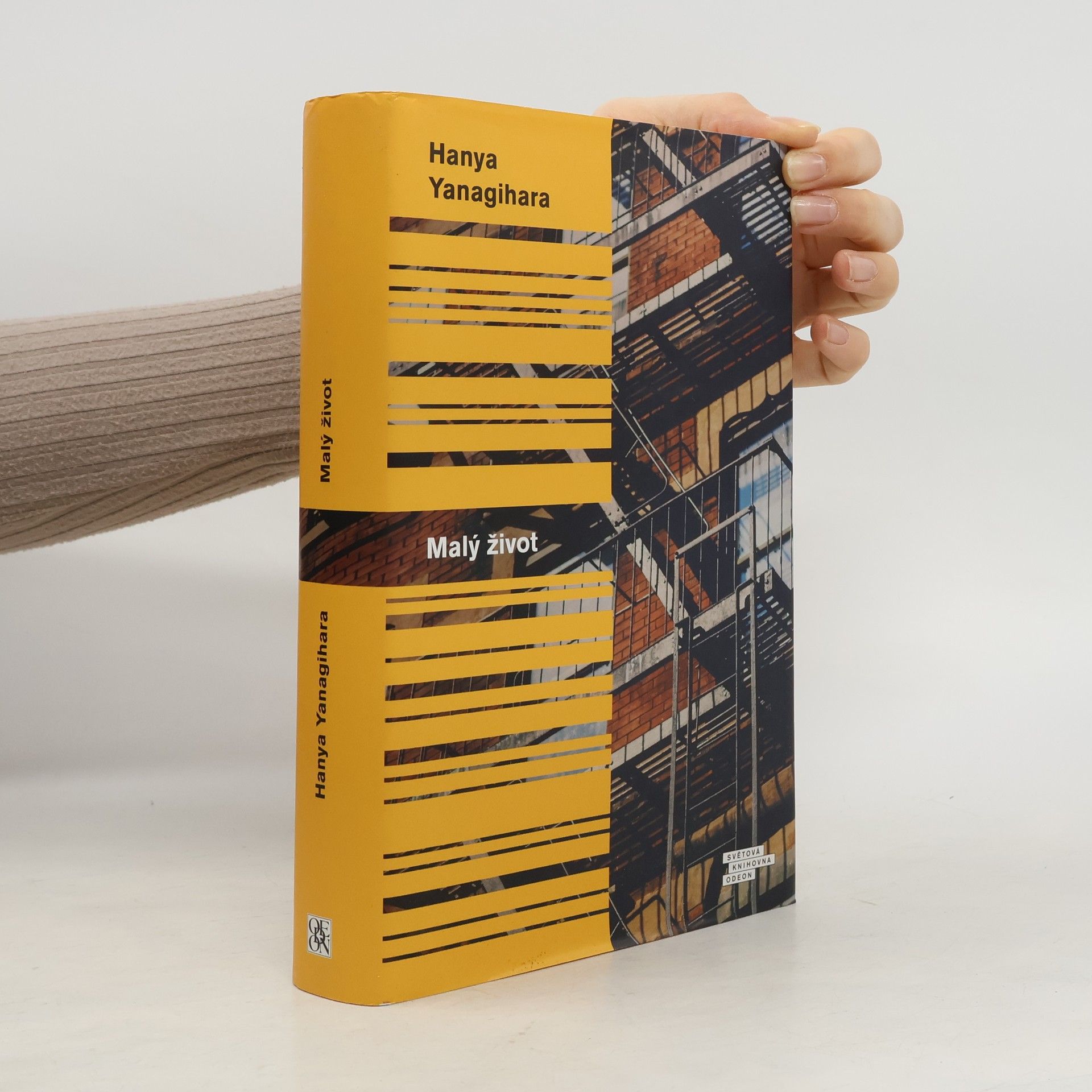 Hanya Yanagihara Malý život