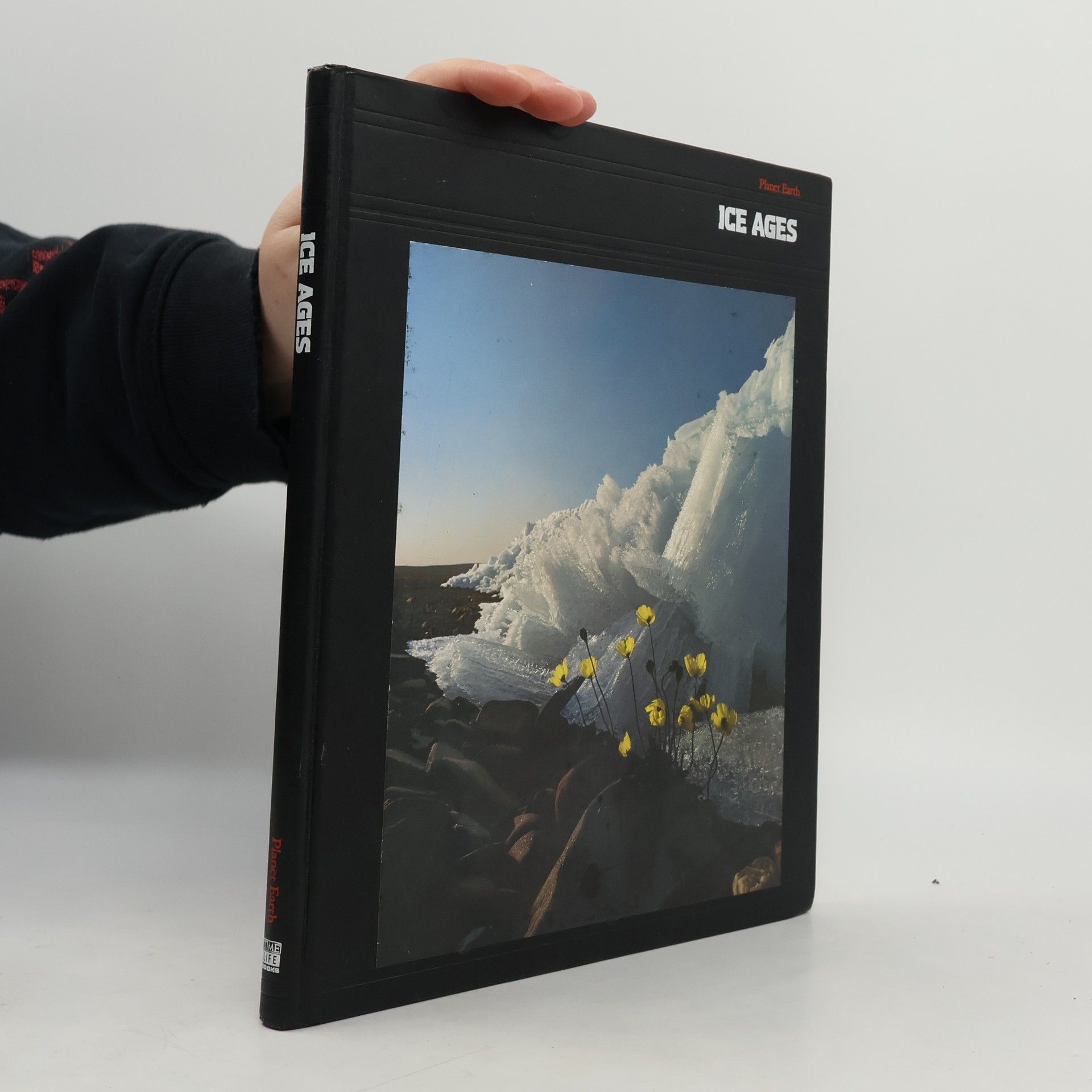 Kolektív autorov Ice Ages