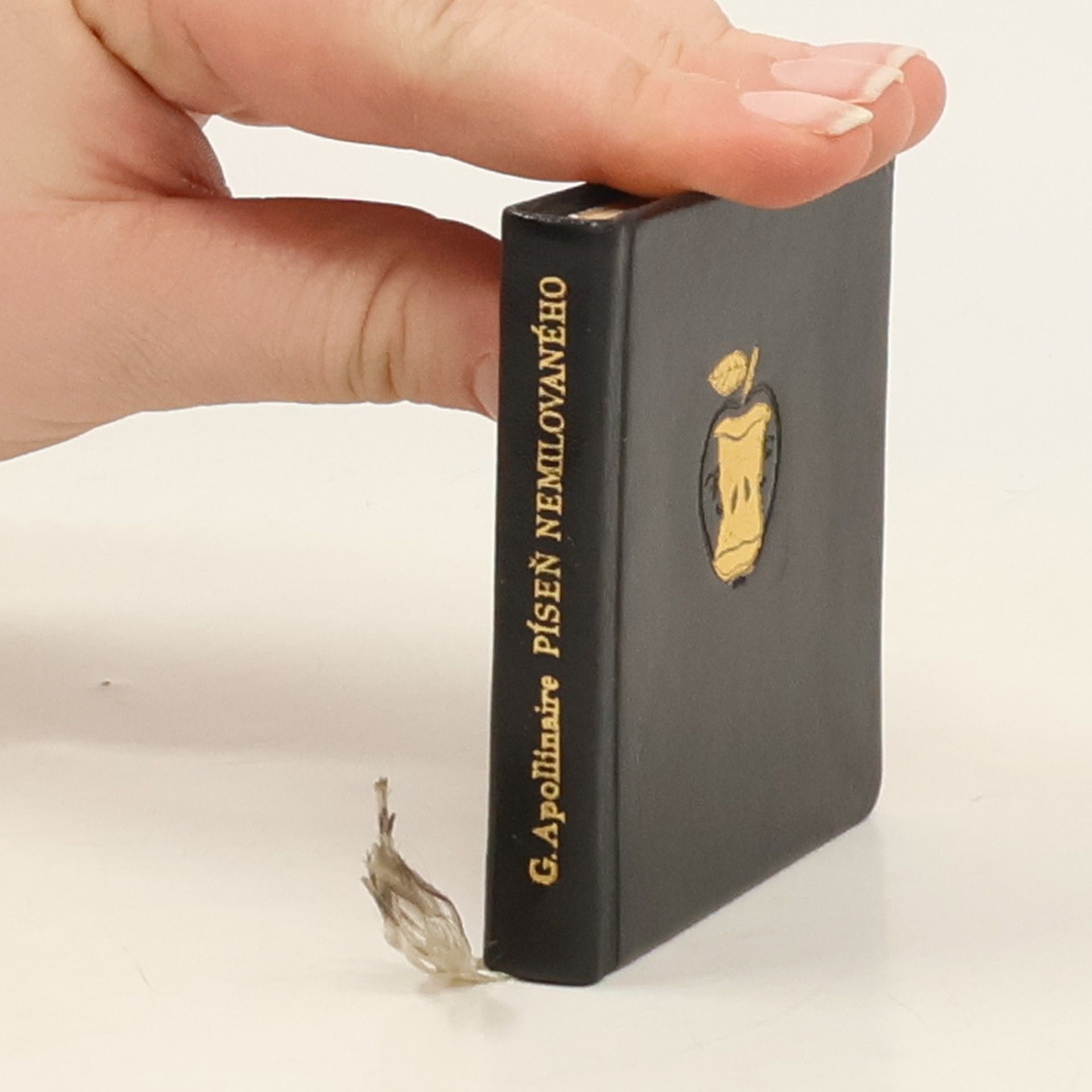 Guillaume Apollinaire Píseň nemilovaného a jiné písně