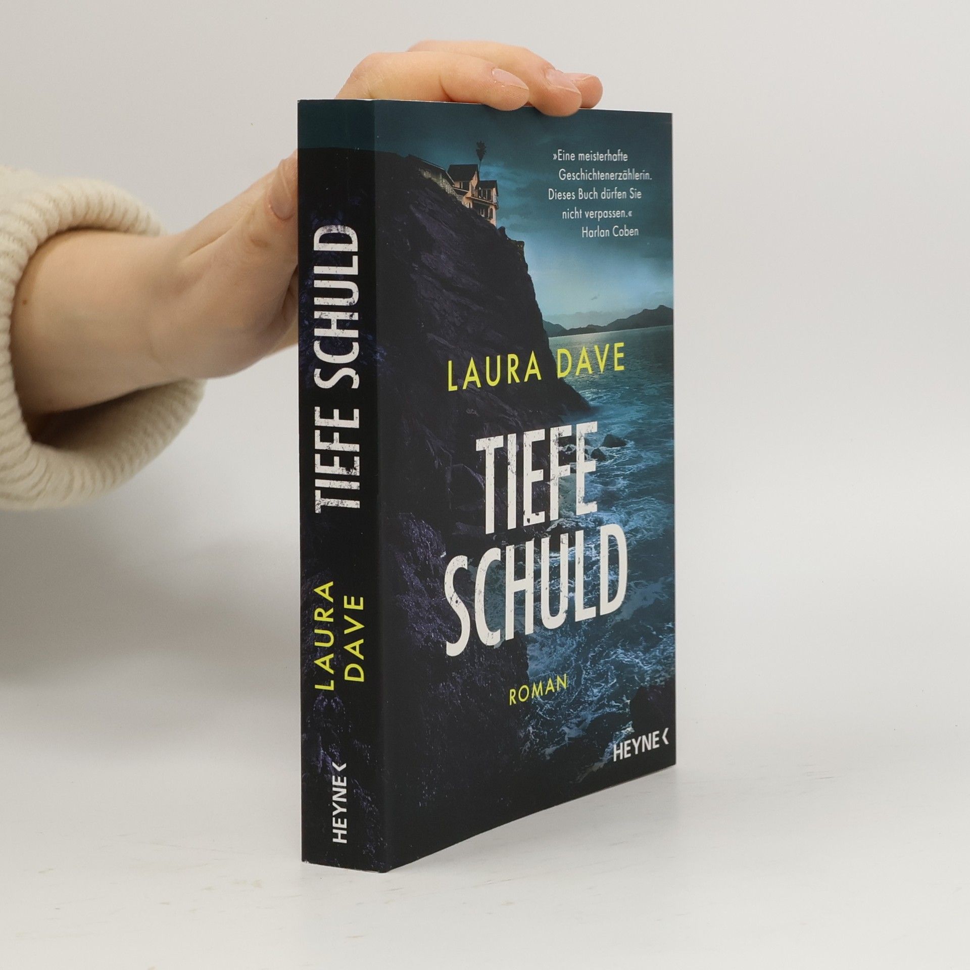 Laura Dave Tiefe Schuld