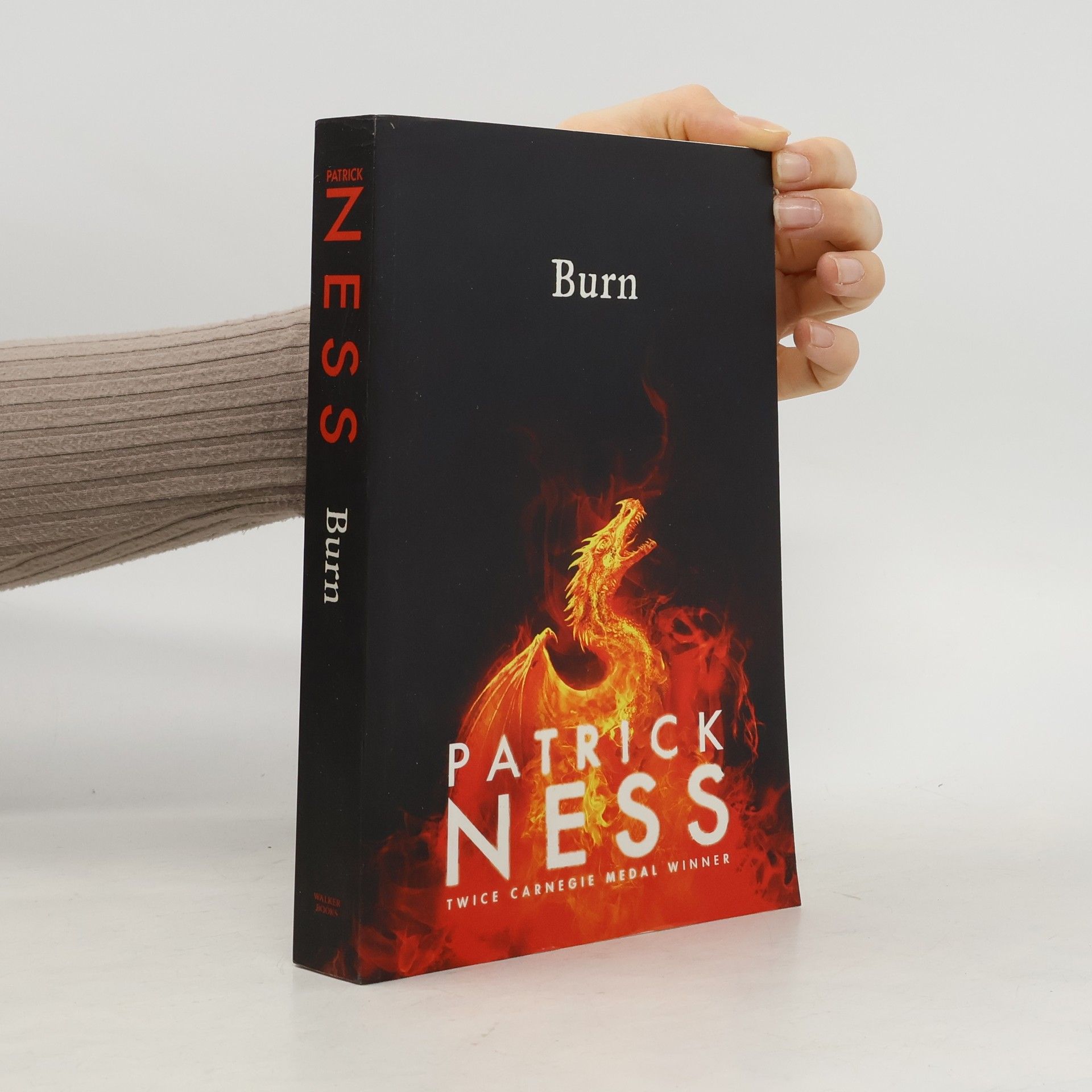 Patrick Ness Burn
