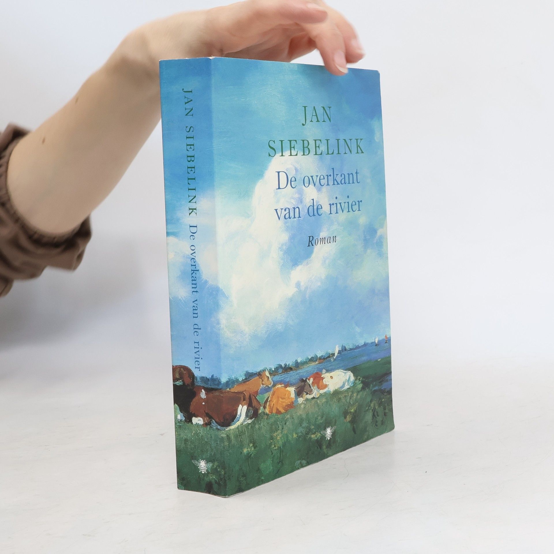 Jan Geurt Siebelink De overkant van de rivier