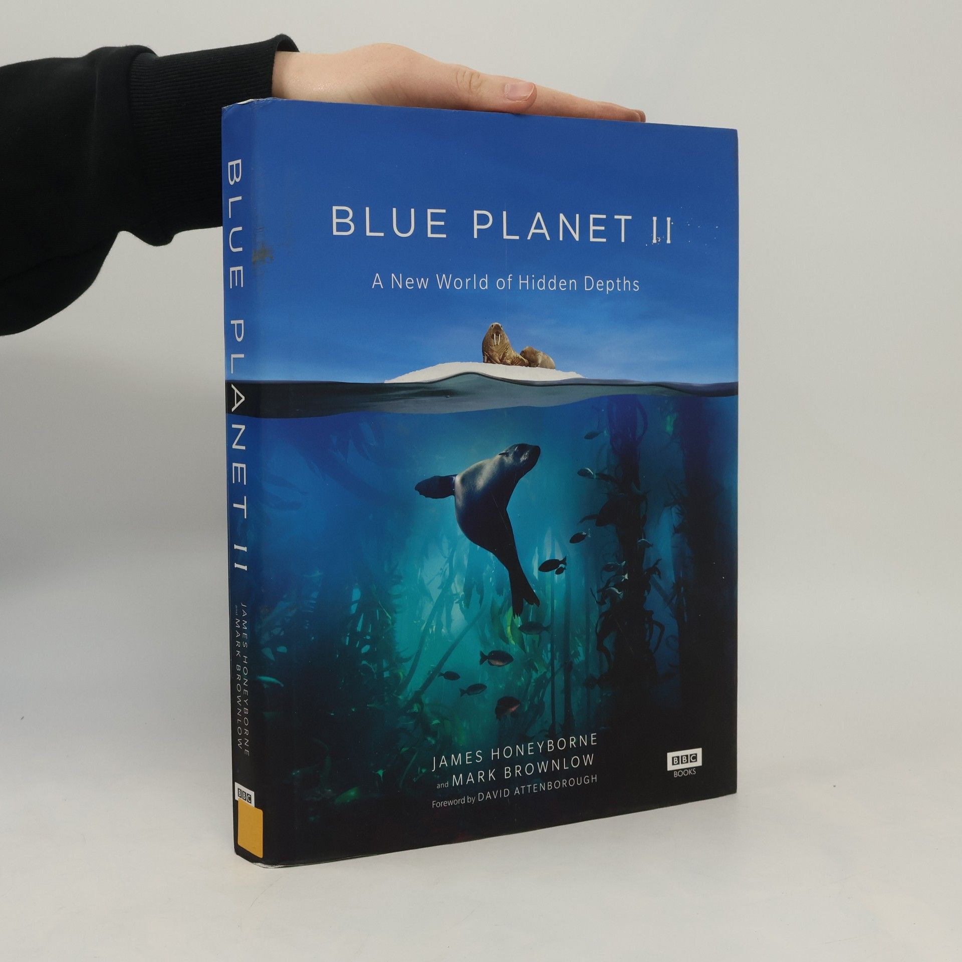 Blue Planet II
