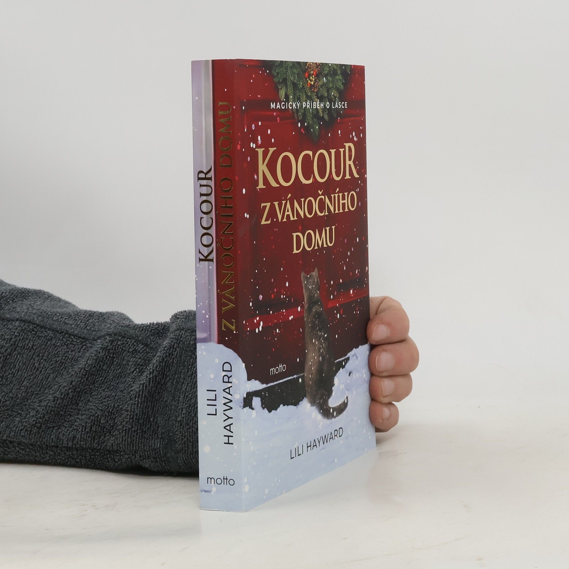 Lili Hayward Kocour z vánočního domu