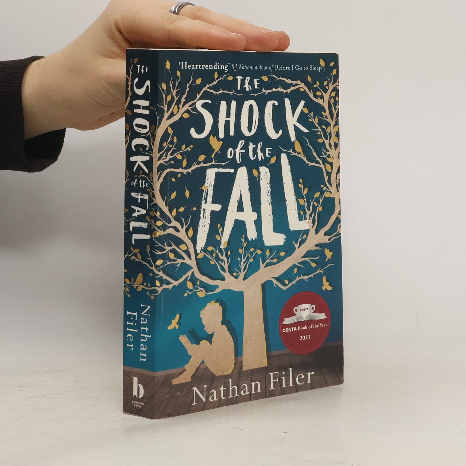 Nathan Filer The shock of the fall