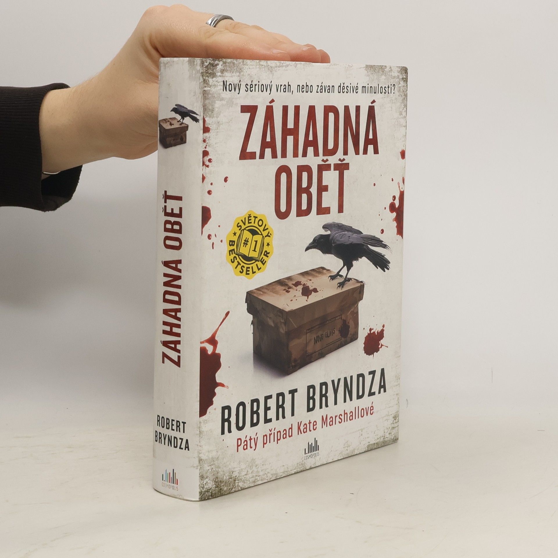 Robert Bryndza Záhadná oběť