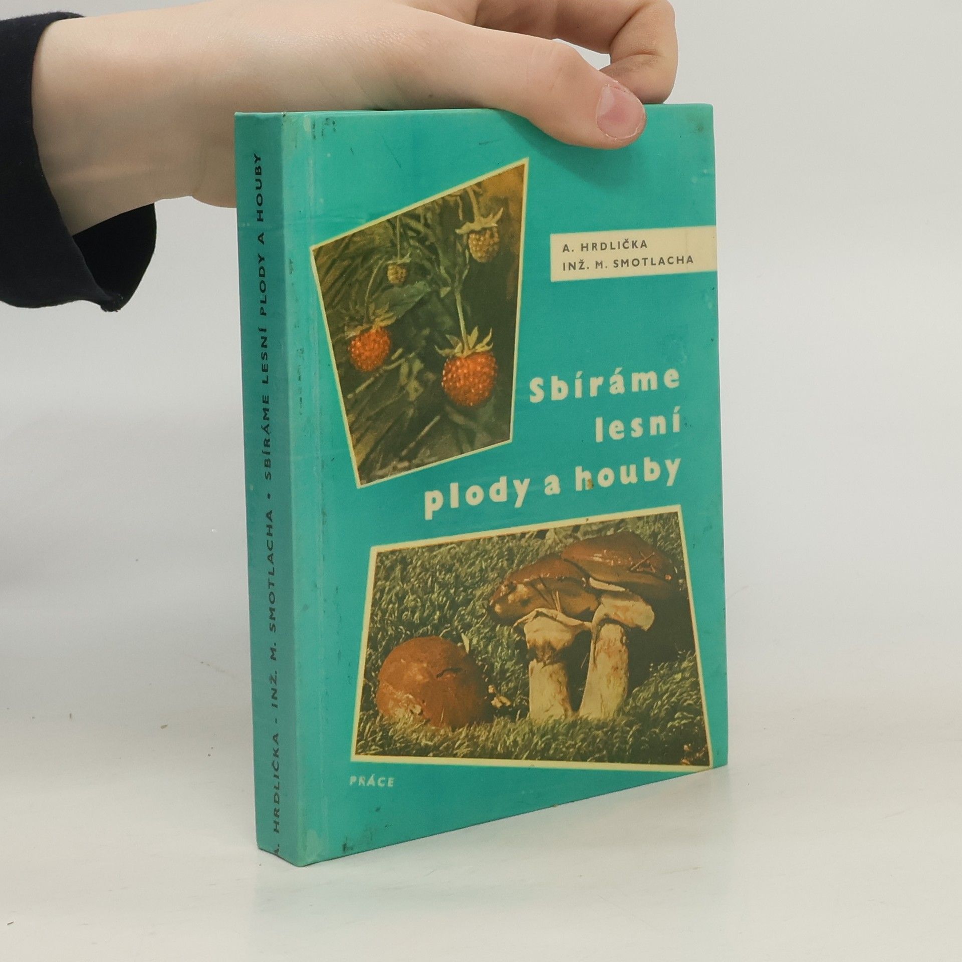 Antonín Hrdlička Sbíráme lesní plody a houby